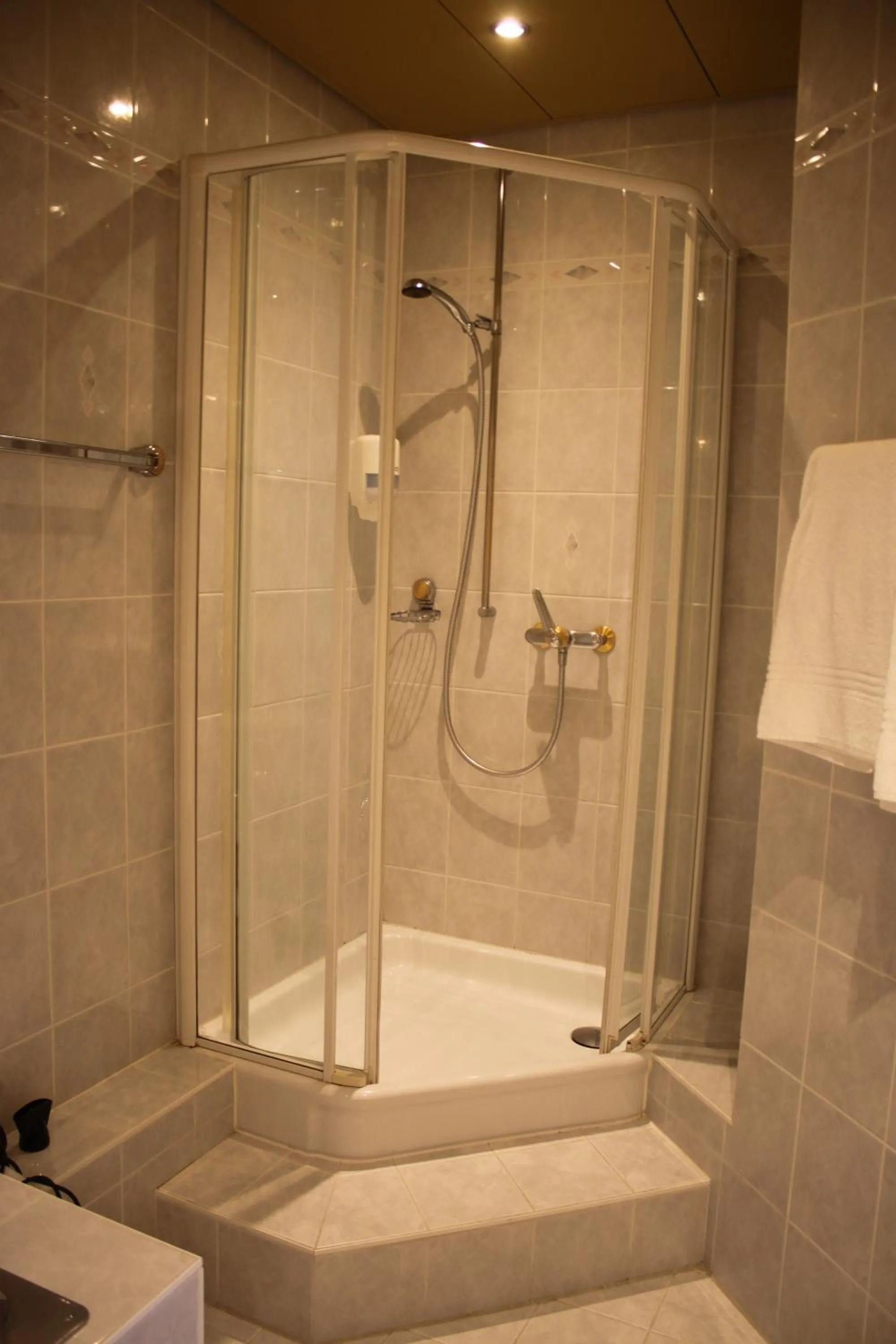 Shower in Grichting Hotel & Serviced Apartments