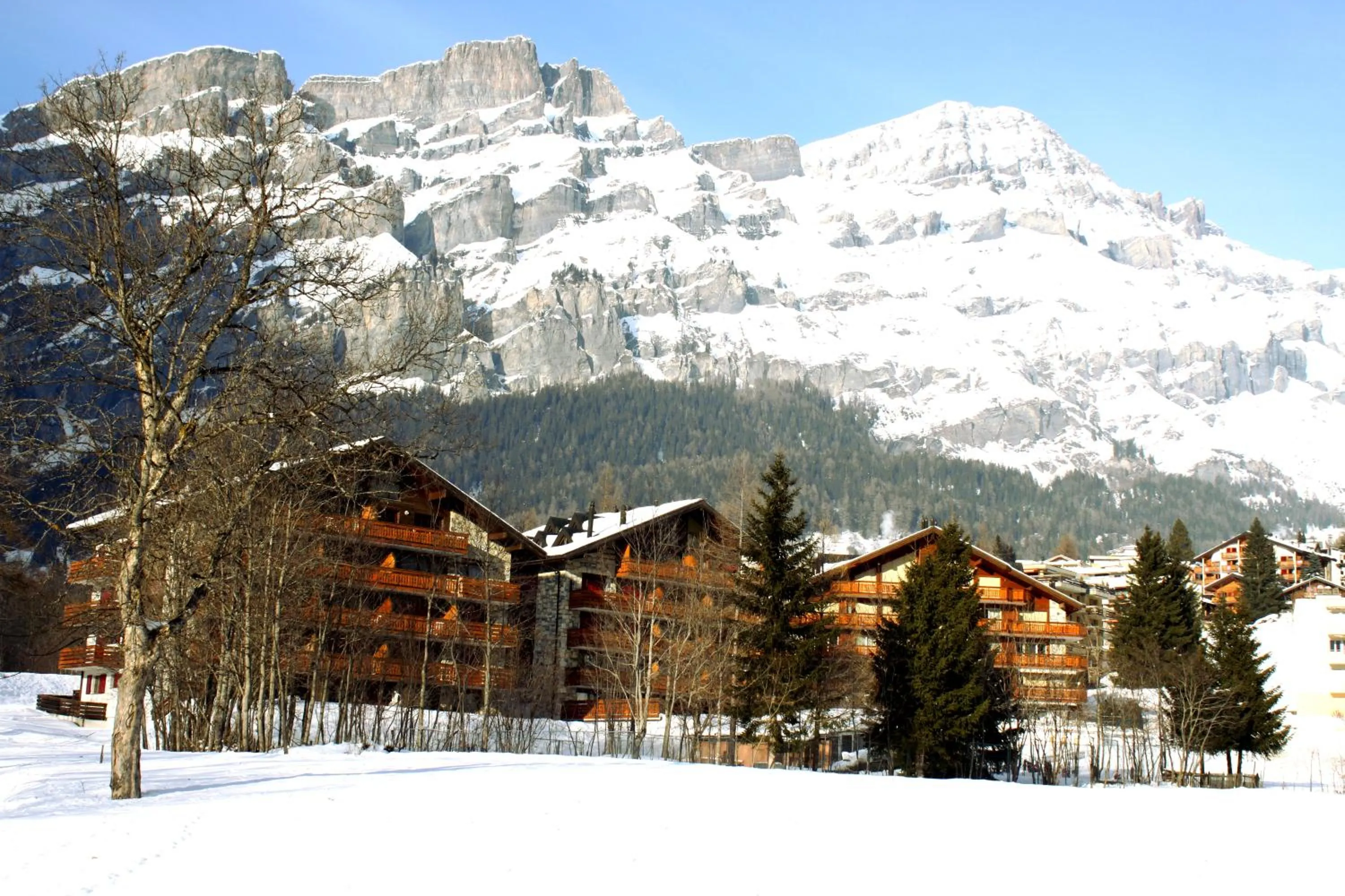 Skiing in Grichting Hotel & Serviced Apartments