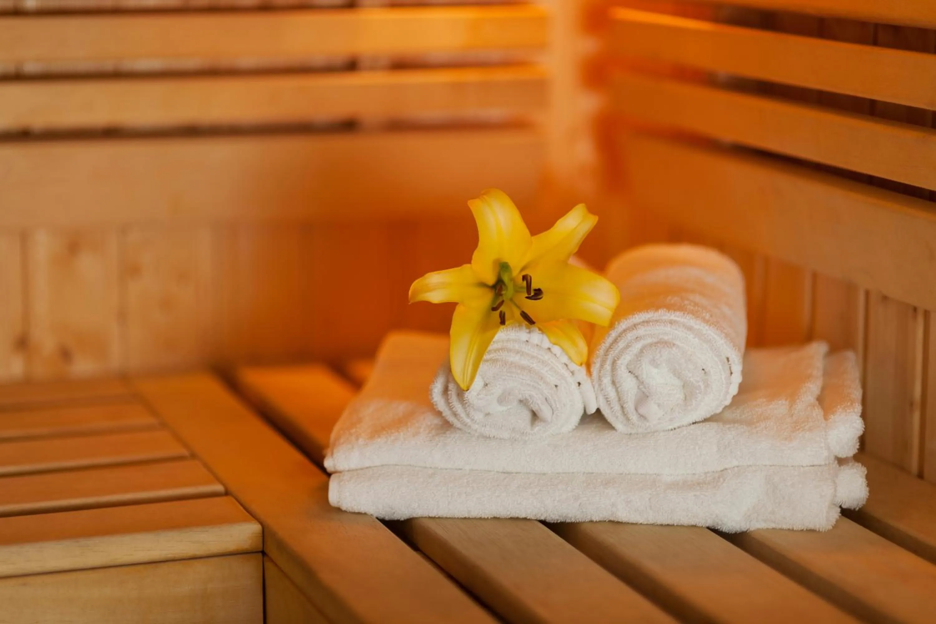 Sauna in Grichting Hotel & Serviced Apartments
