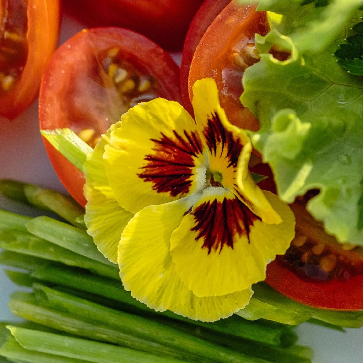 Food in InterContinental Luanda Miramar by IHG