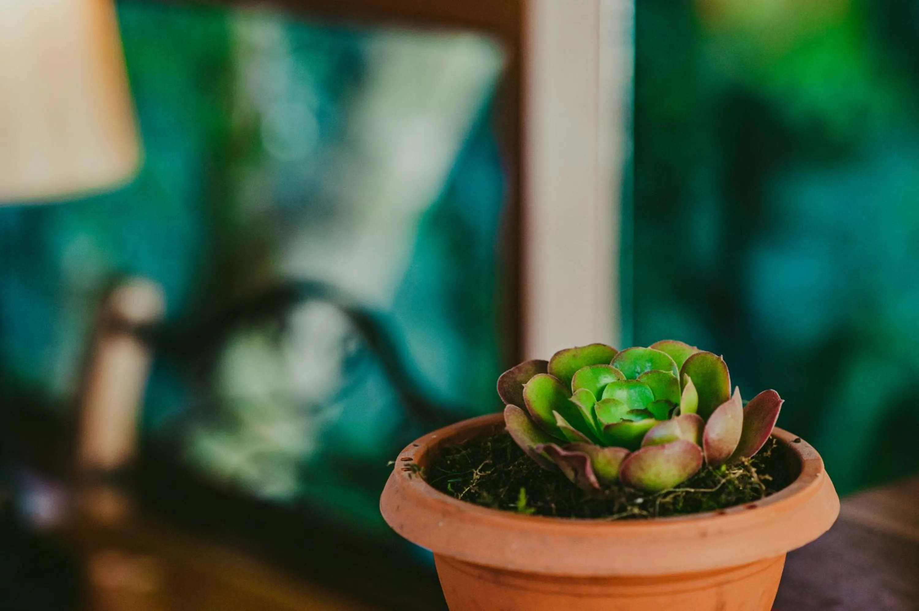 Decorative detail in Rupa Rupa High Jungle Eco B&B