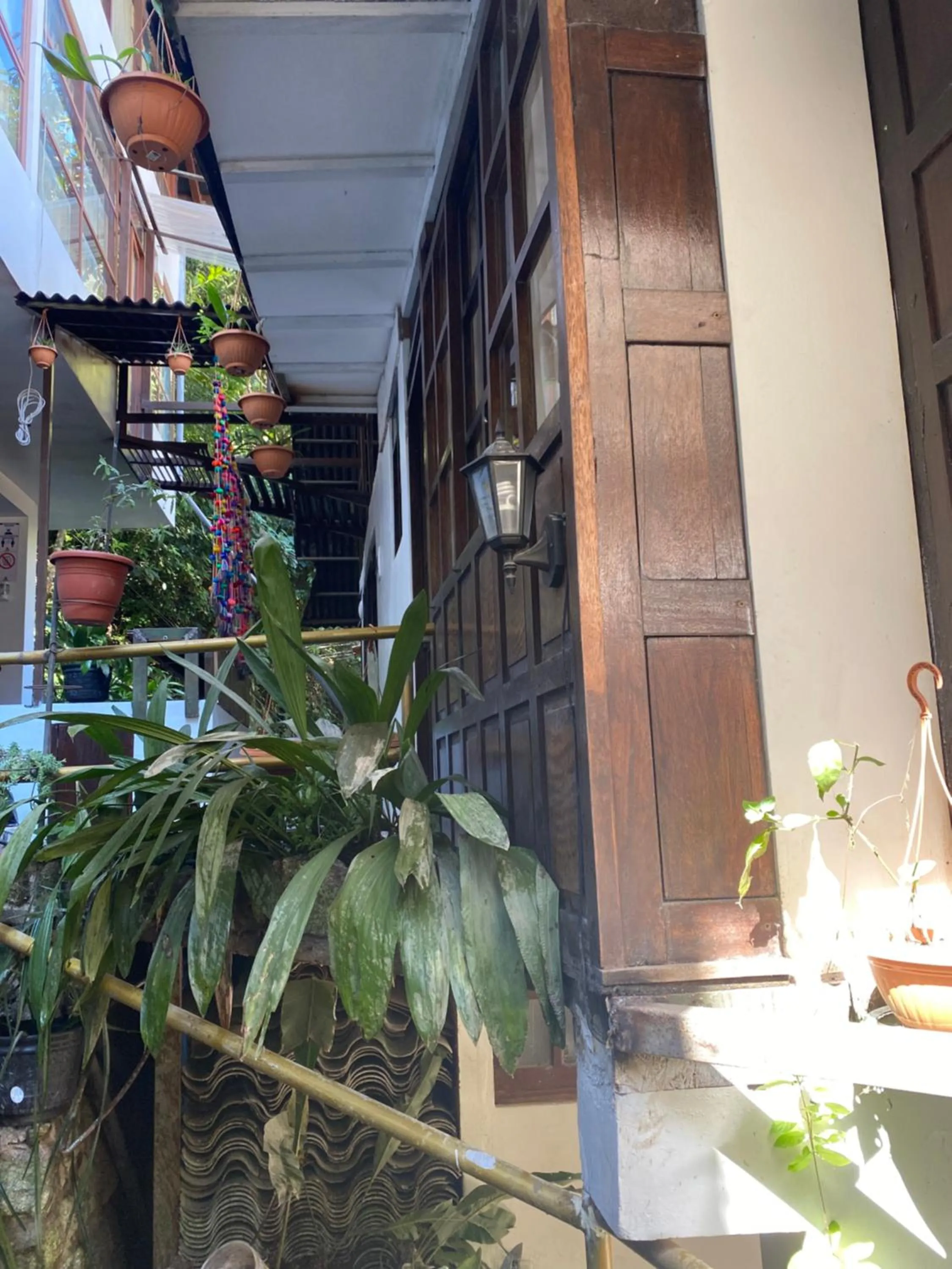 Rupa Rupa High Jungle Eco B&B