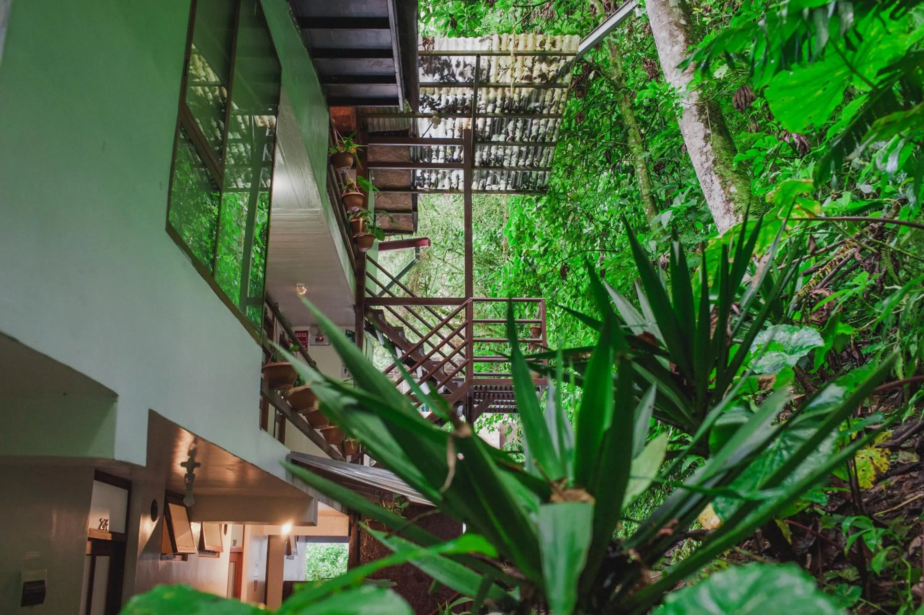 Rupa Rupa High Jungle Eco B&B