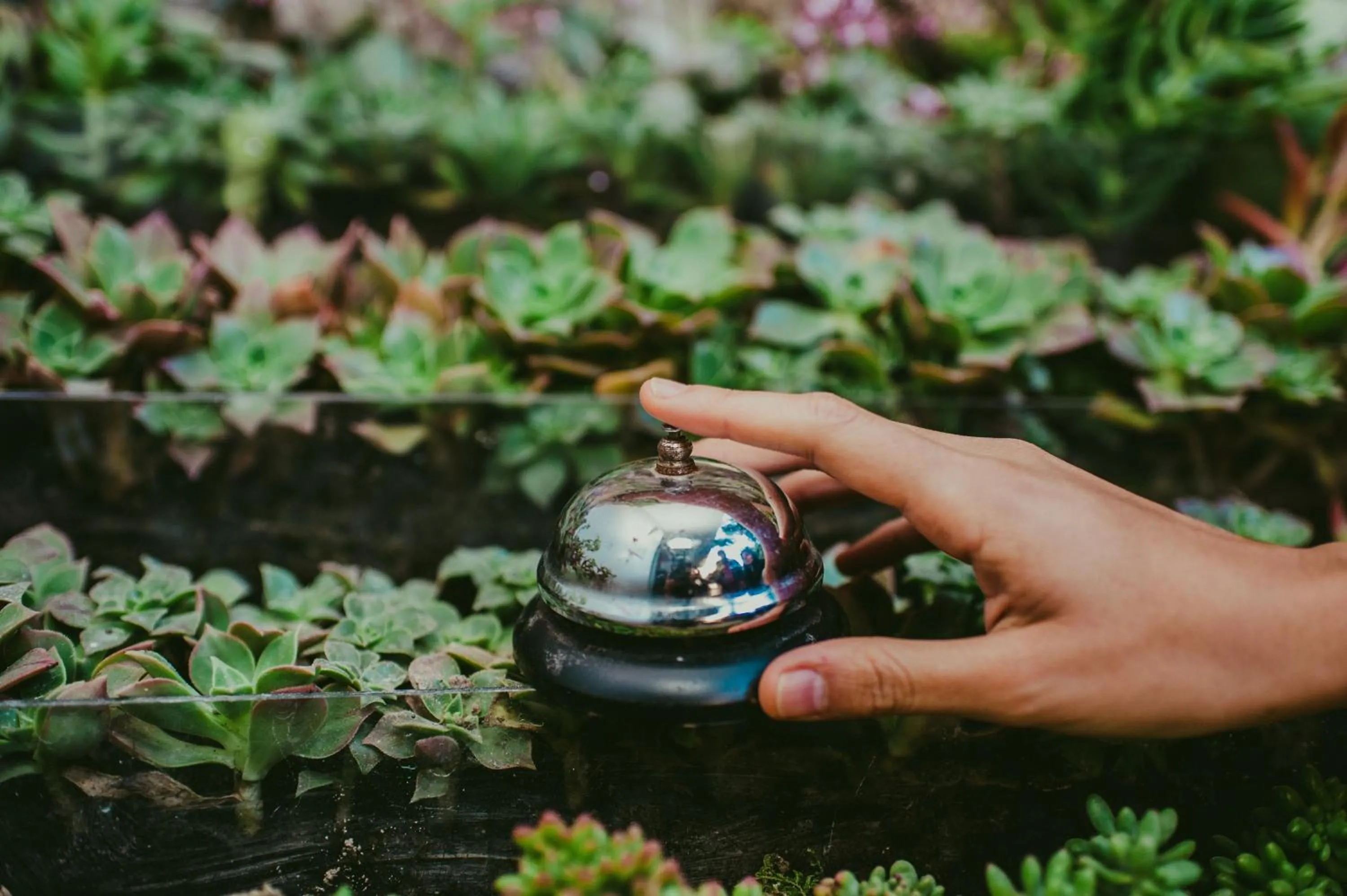 Lobby or reception in Rupa Rupa High Jungle Eco B&B