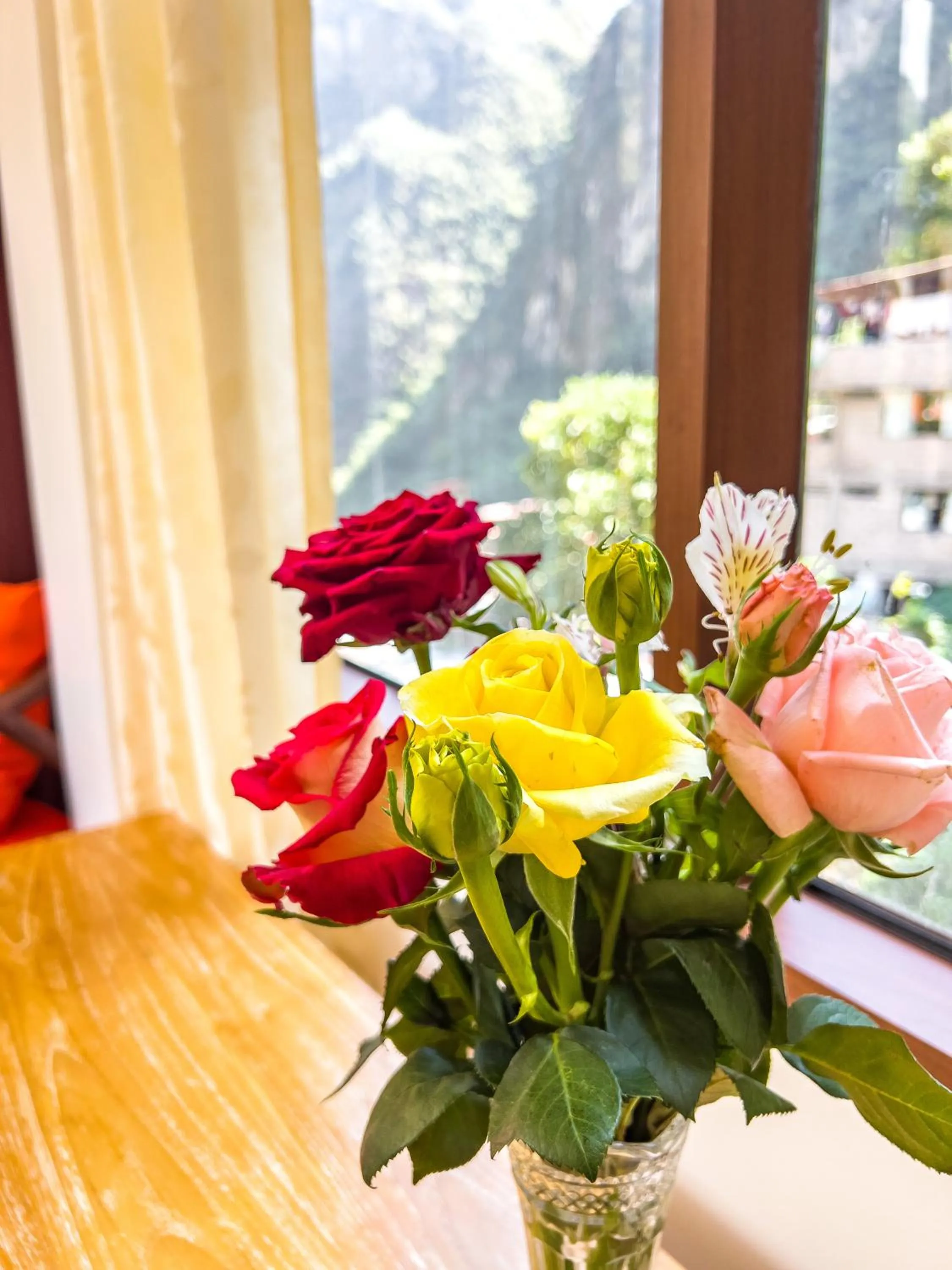 Rupa Rupa High Jungle Eco B&B