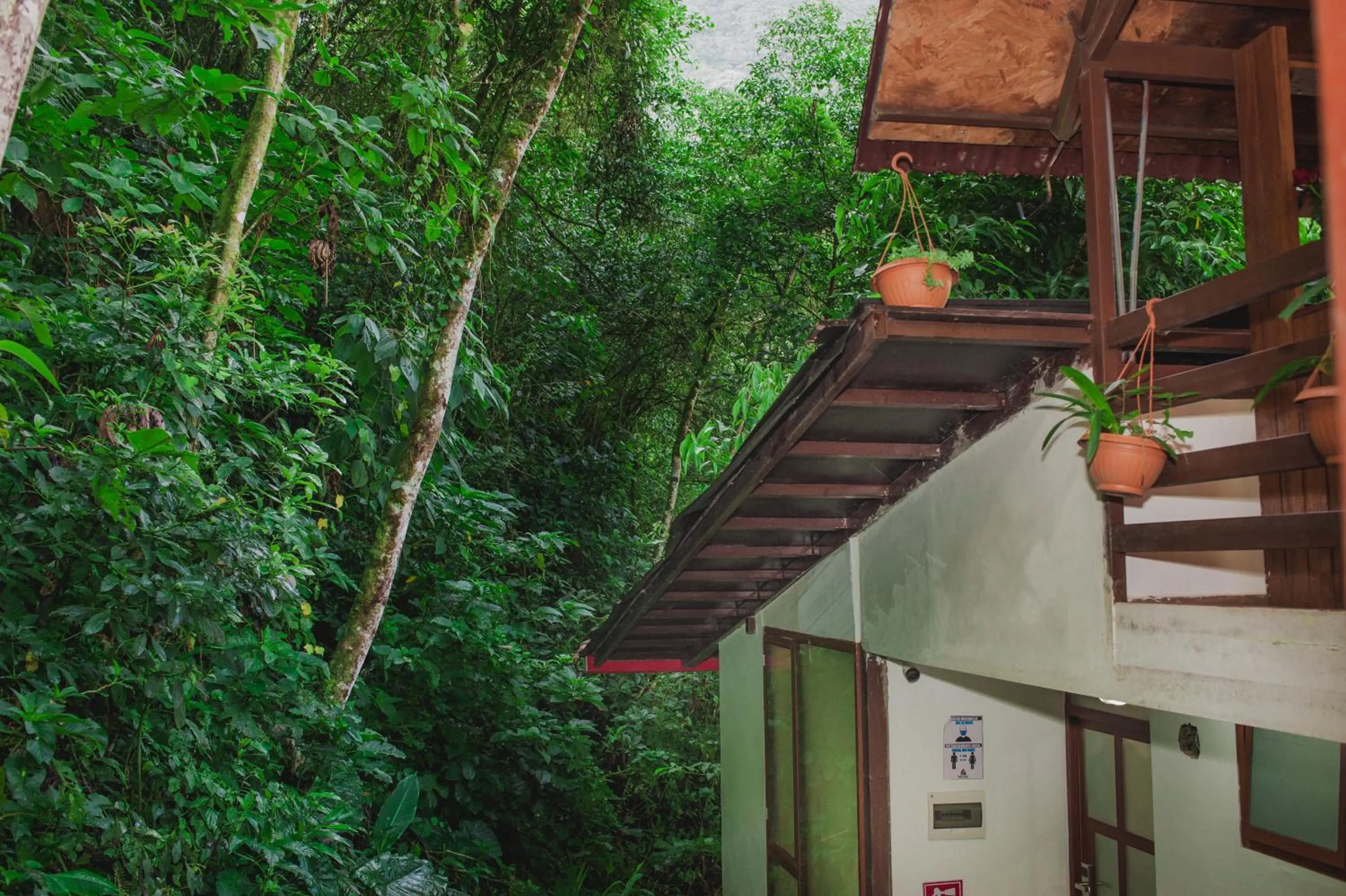 Rupa Rupa High Jungle Eco B&B