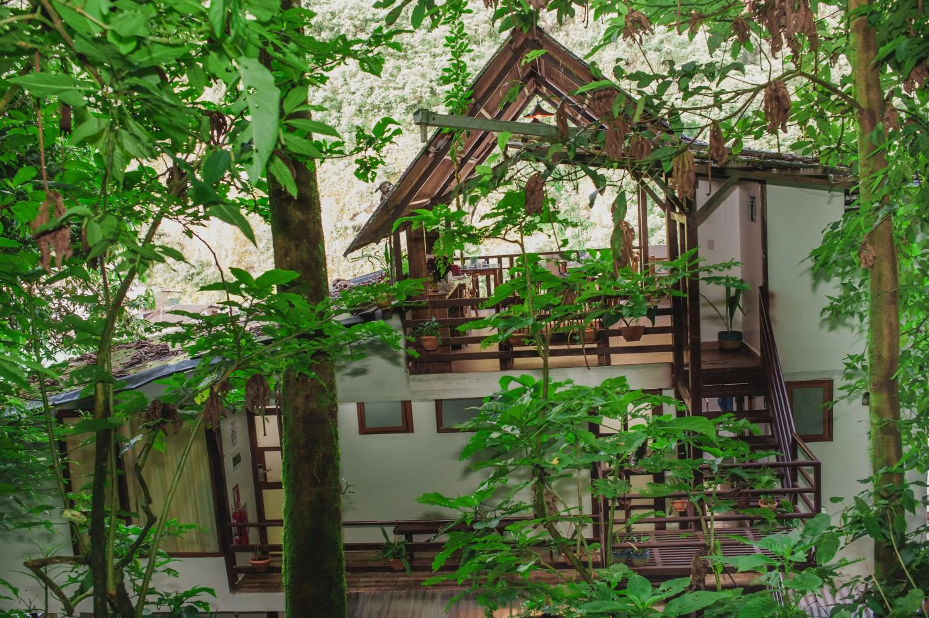 Rupa Rupa High Jungle Eco B&B