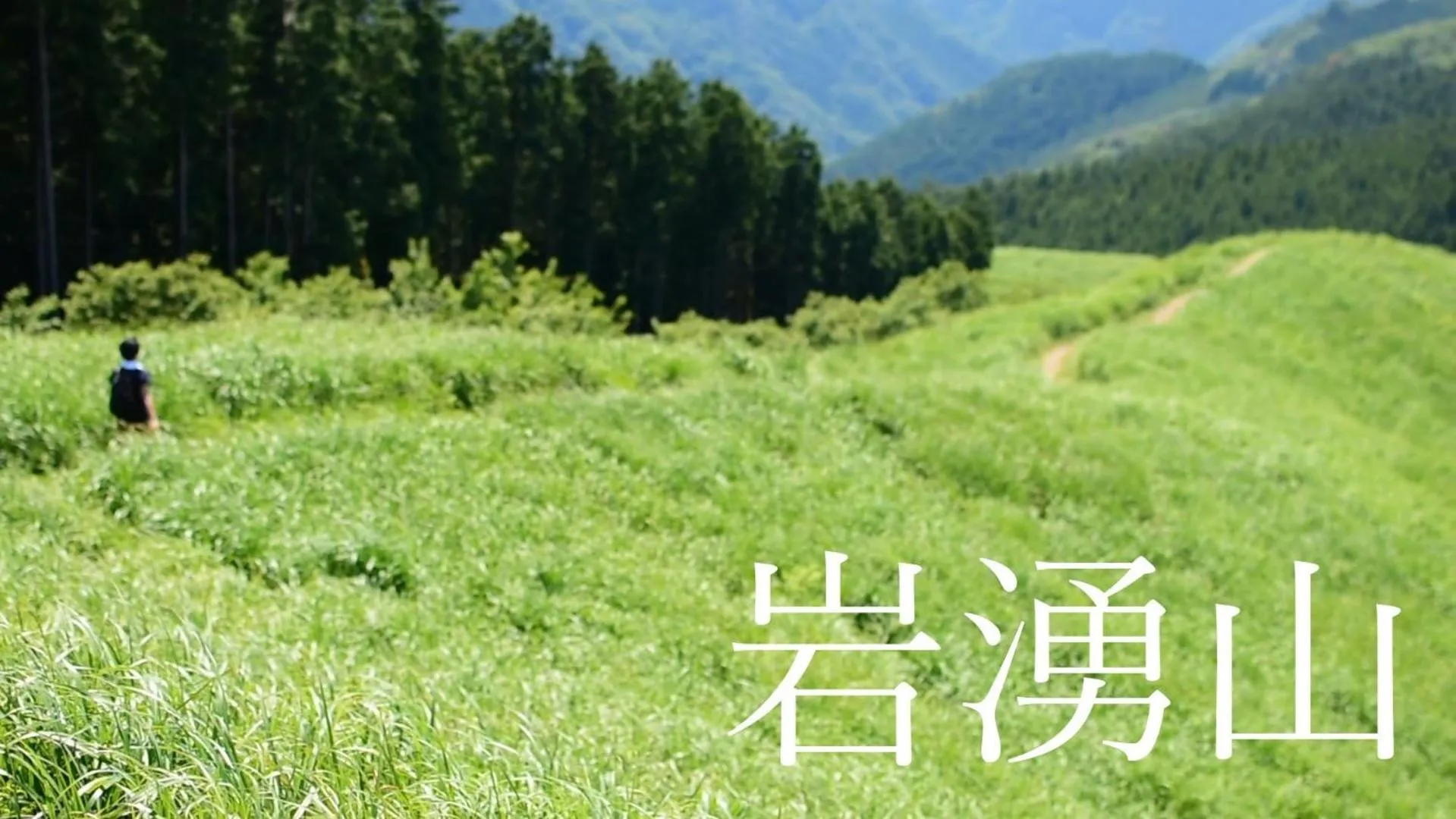 Kawachi no Yado - Vacation STAY 41785v