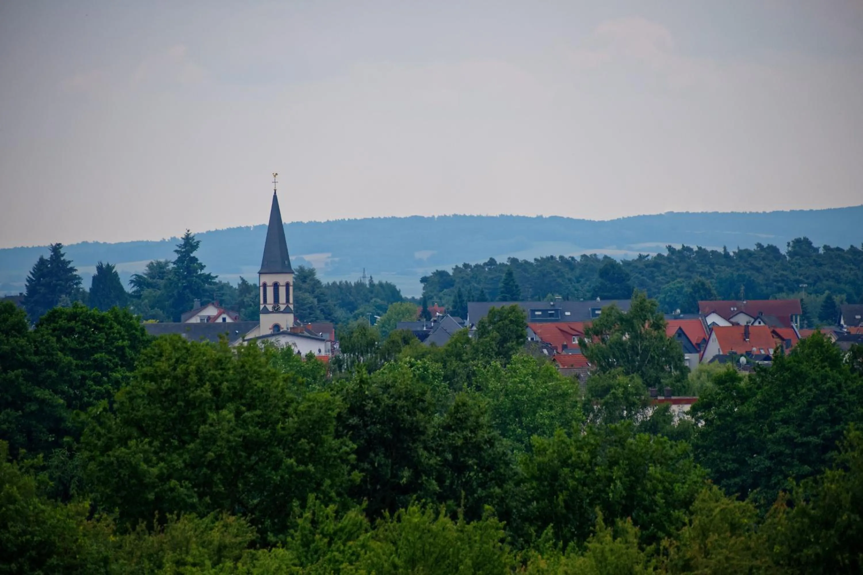 City view in Hotel Odenwaldblick