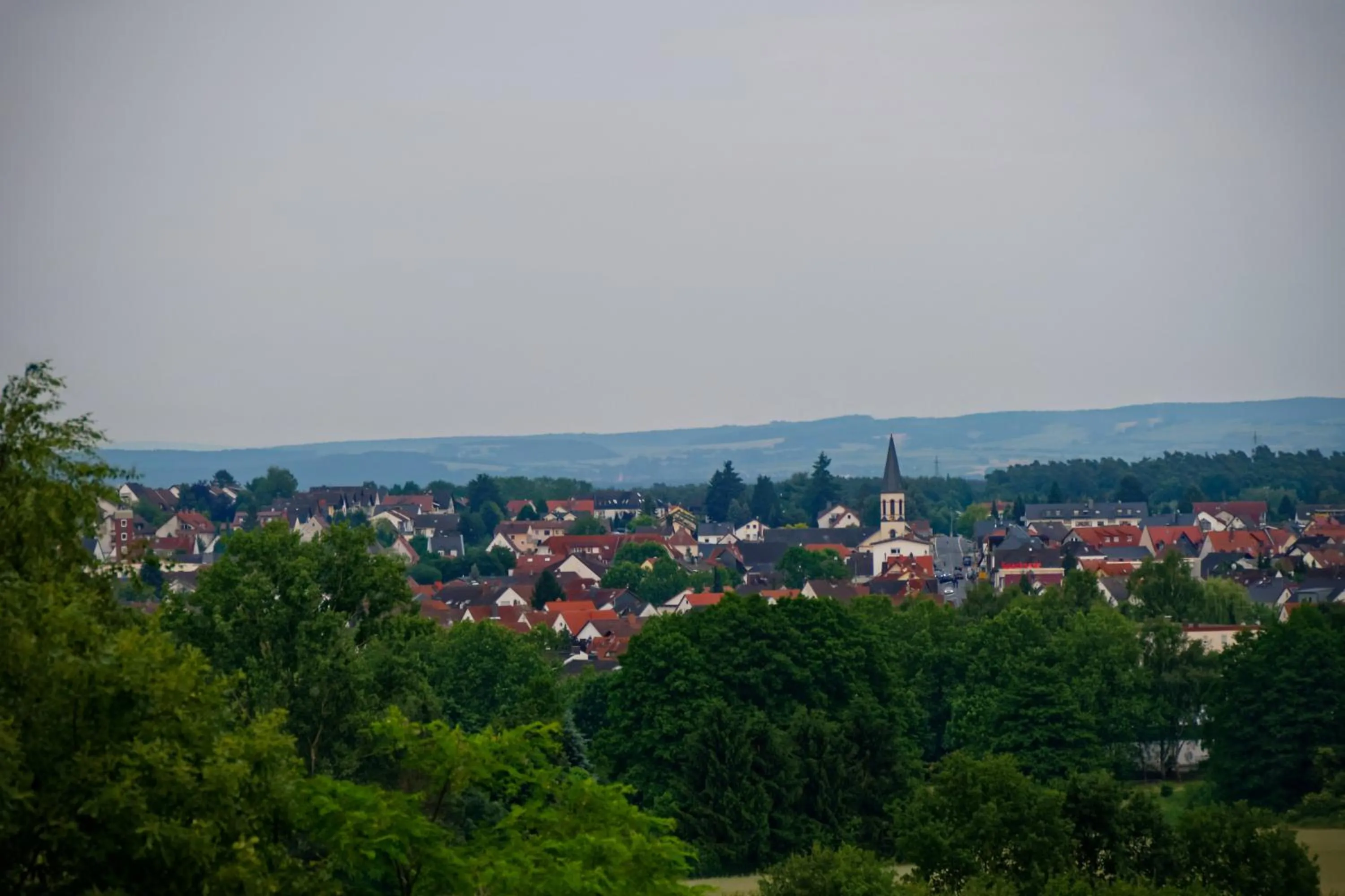 City view in Hotel Odenwaldblick