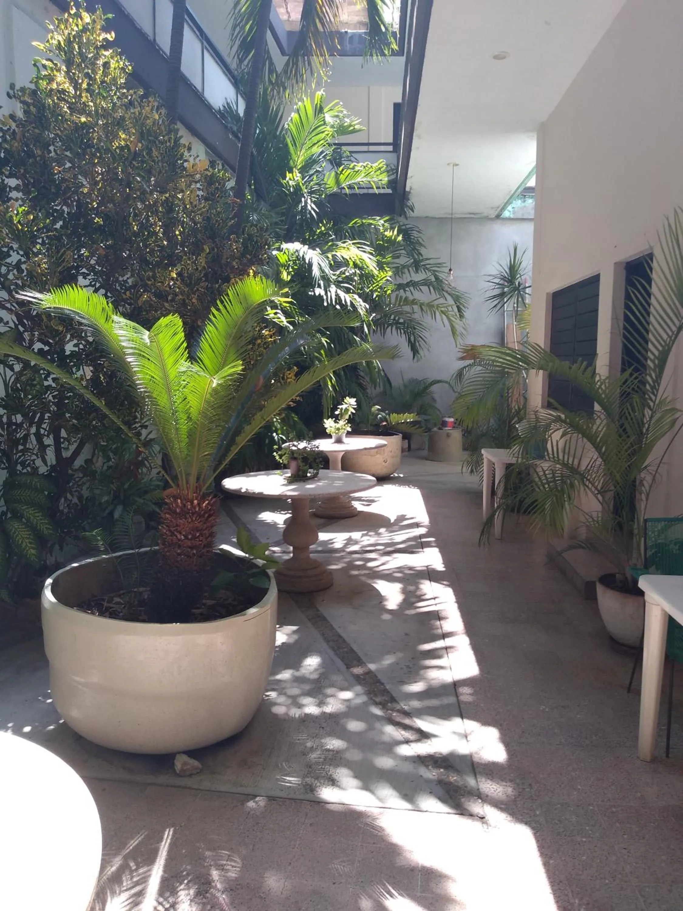 Patio in Hotel Colimense