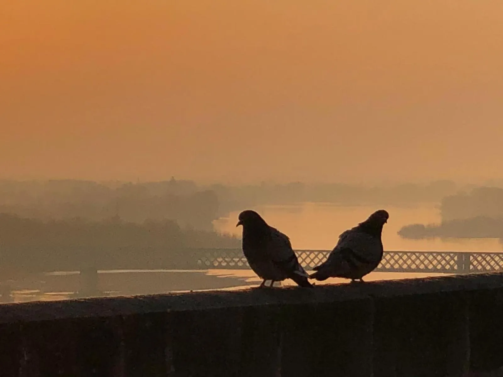 Text overlay in BULLES DE LOIRE