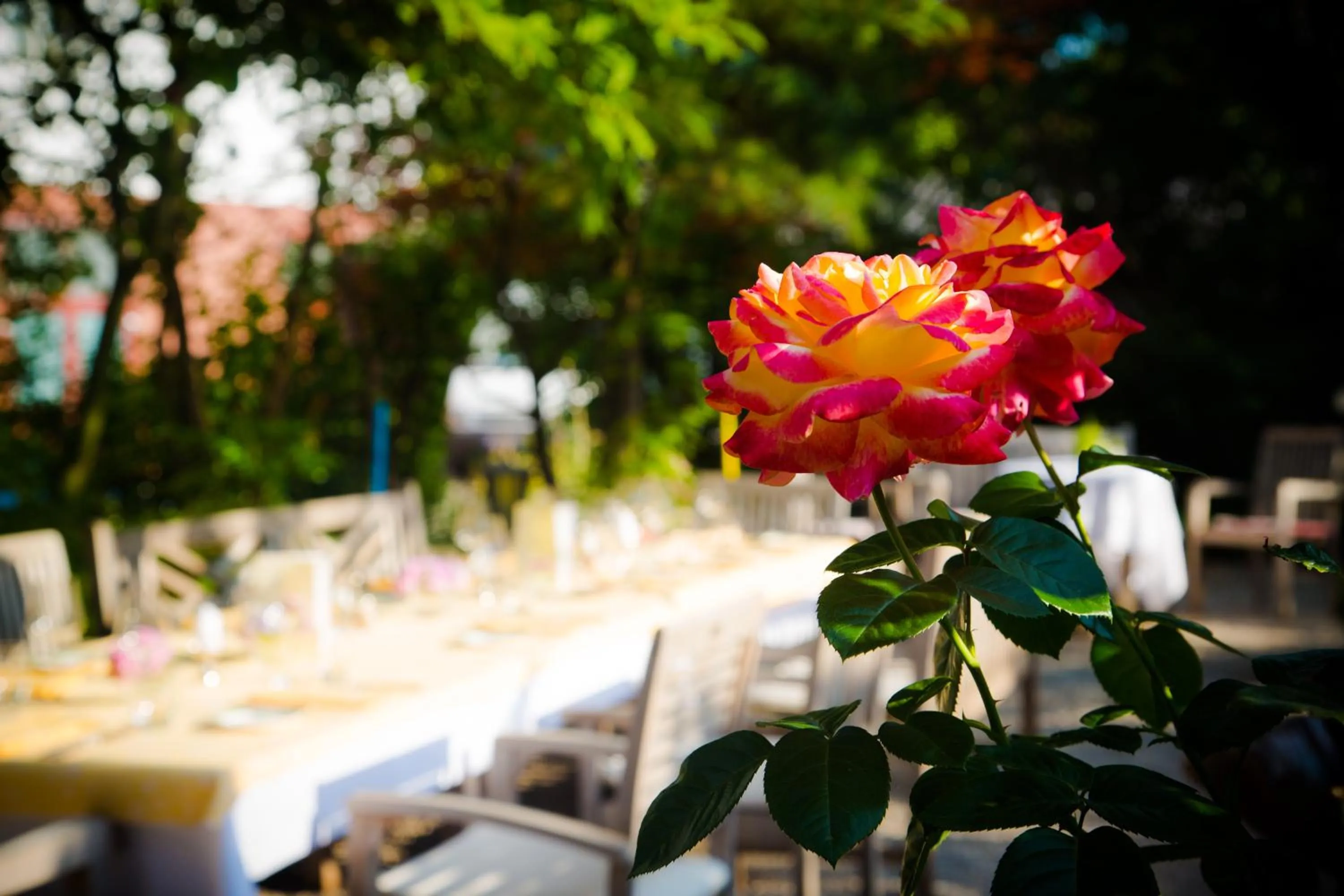 Garden in Brunnwirt Kassl