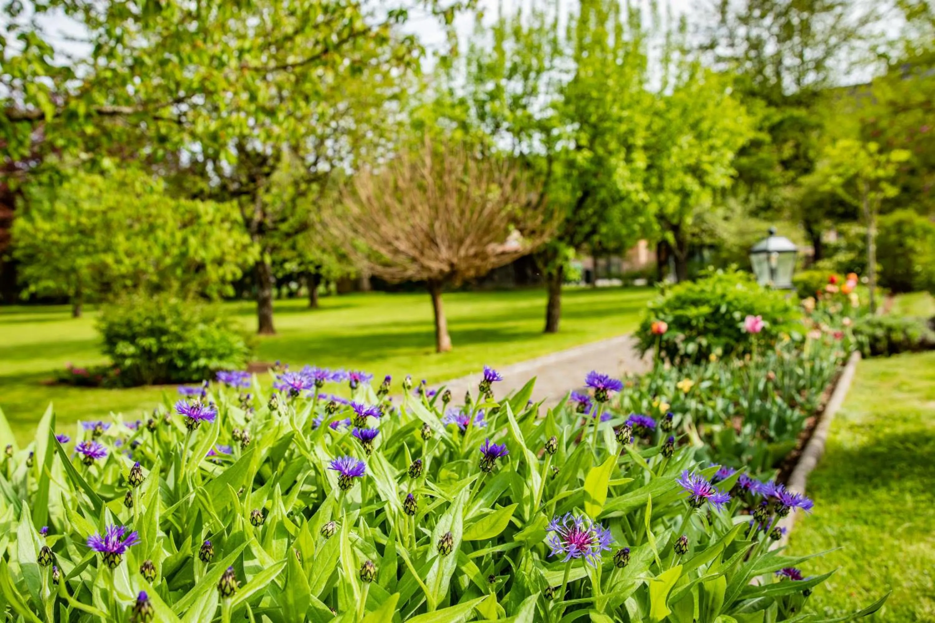 Garden in Brunnwirt Kassl