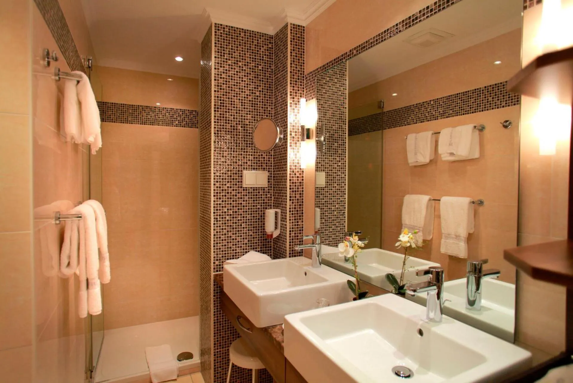 Shower in Hotel Braunschweiger Hof