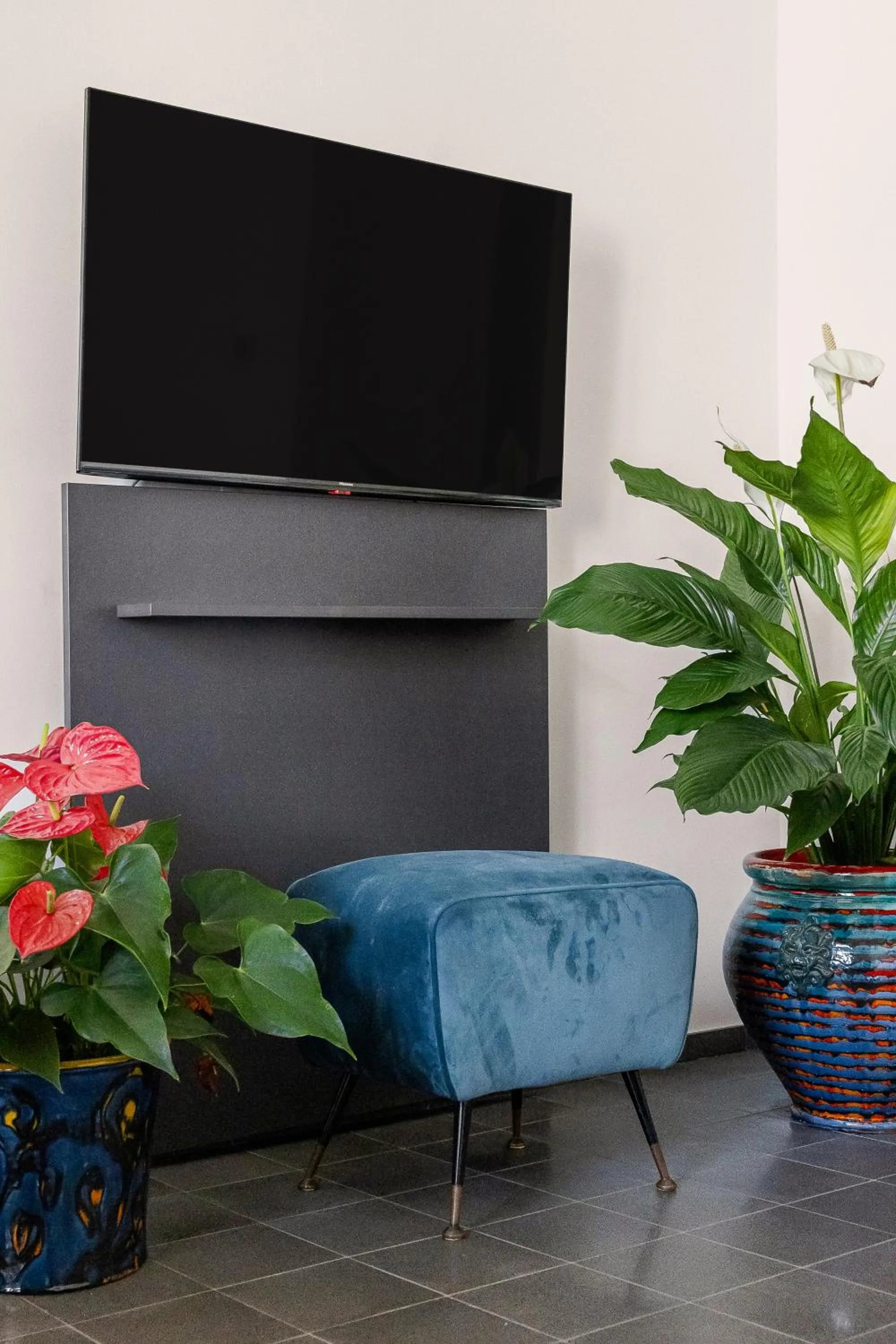 TV and multimedia in Creuza De Ma