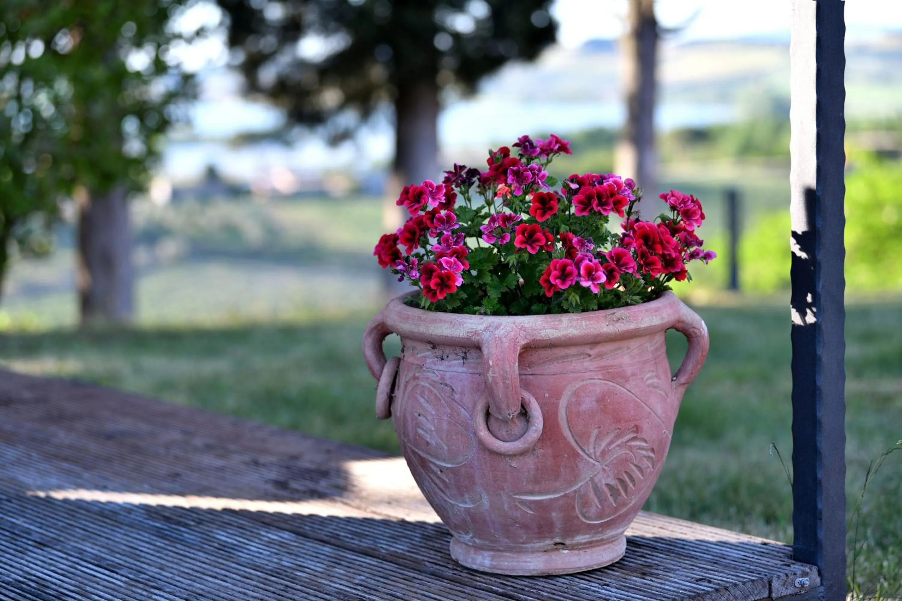 Garden in Porsenna Resort