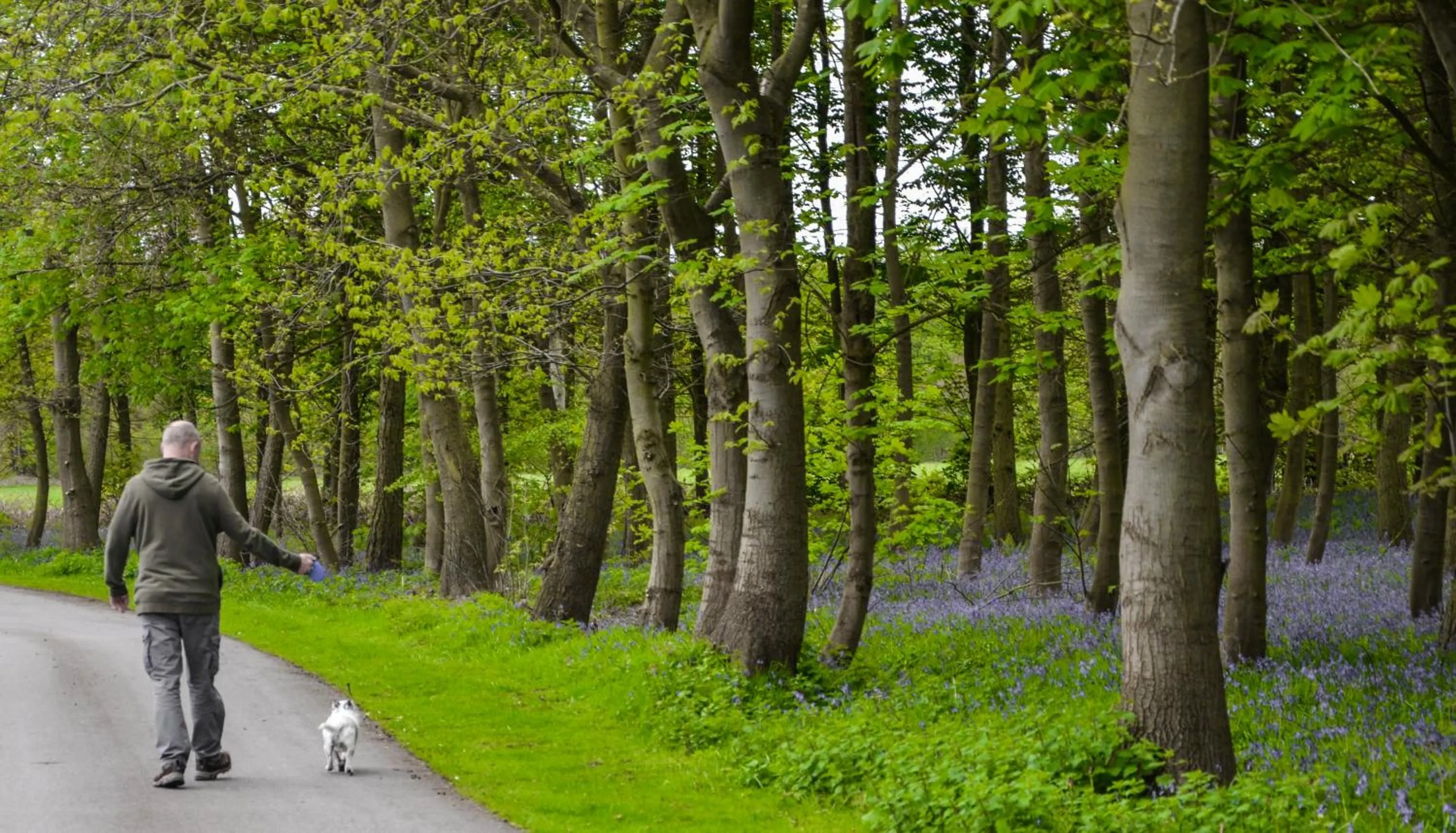 Garden in Hollicarrs - Dragonfly Lodge
