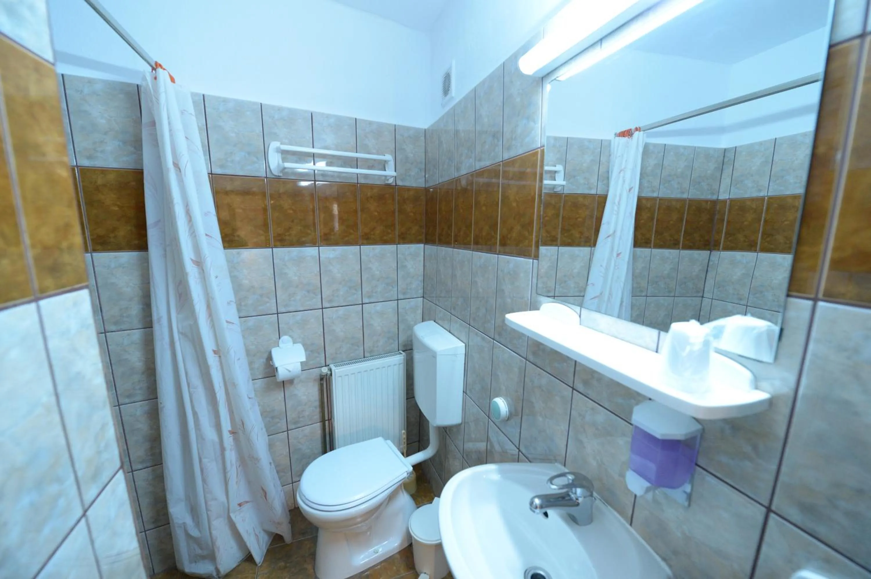 Bathroom in Pensiunea Podul Minciunilor