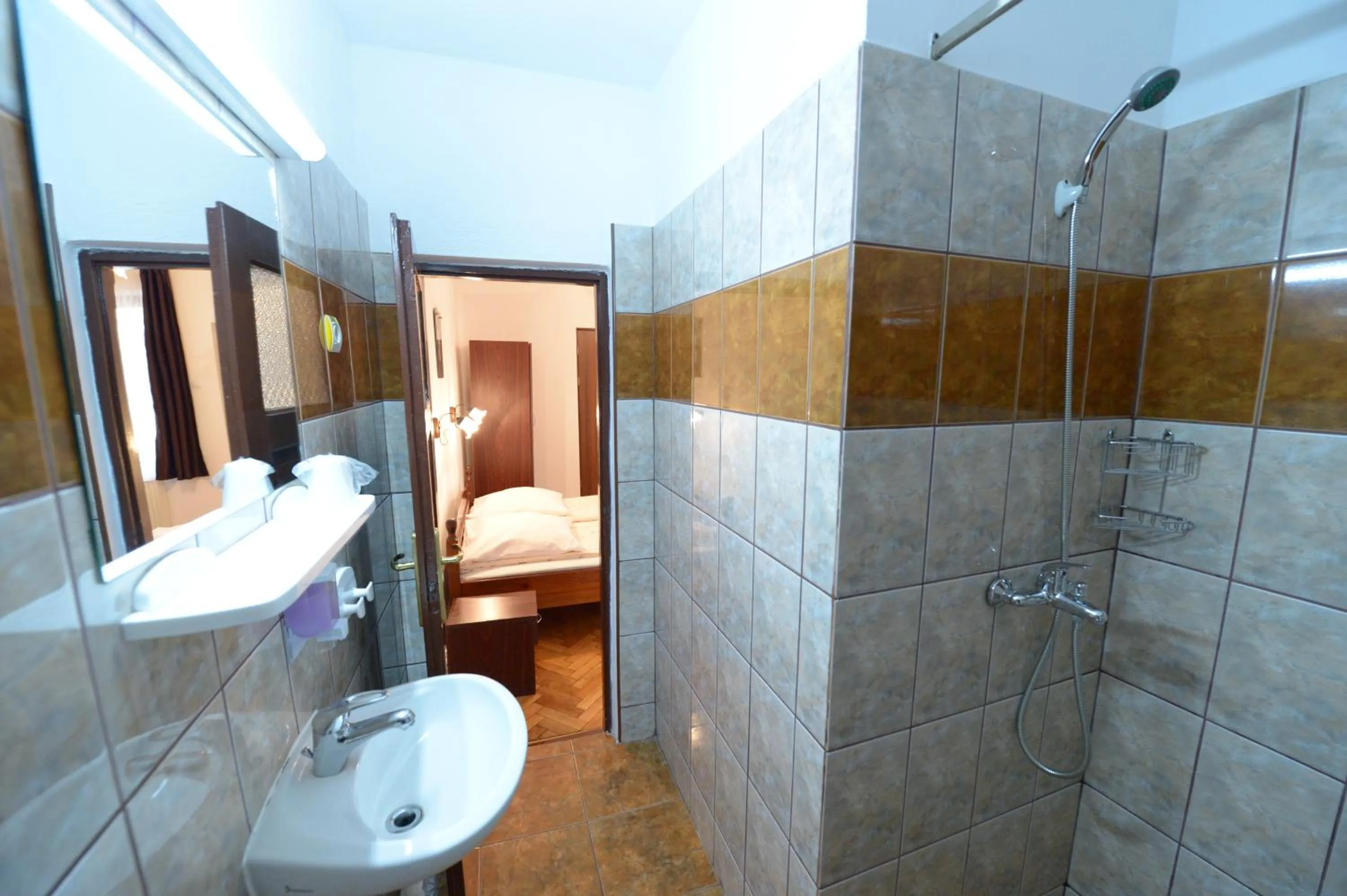 Bathroom in Pensiunea Podul Minciunilor