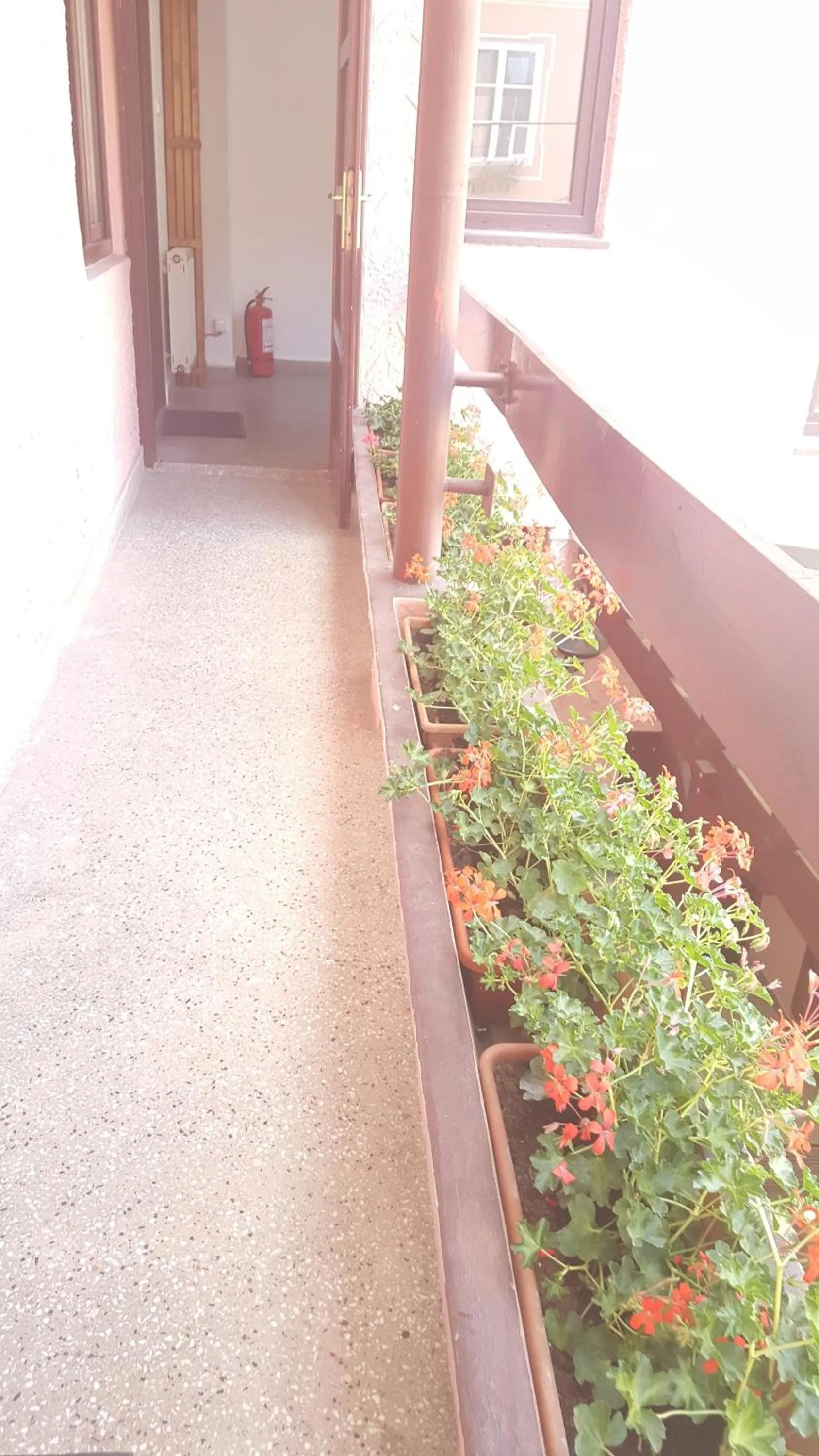 Pensiunea Podul Minciunilor