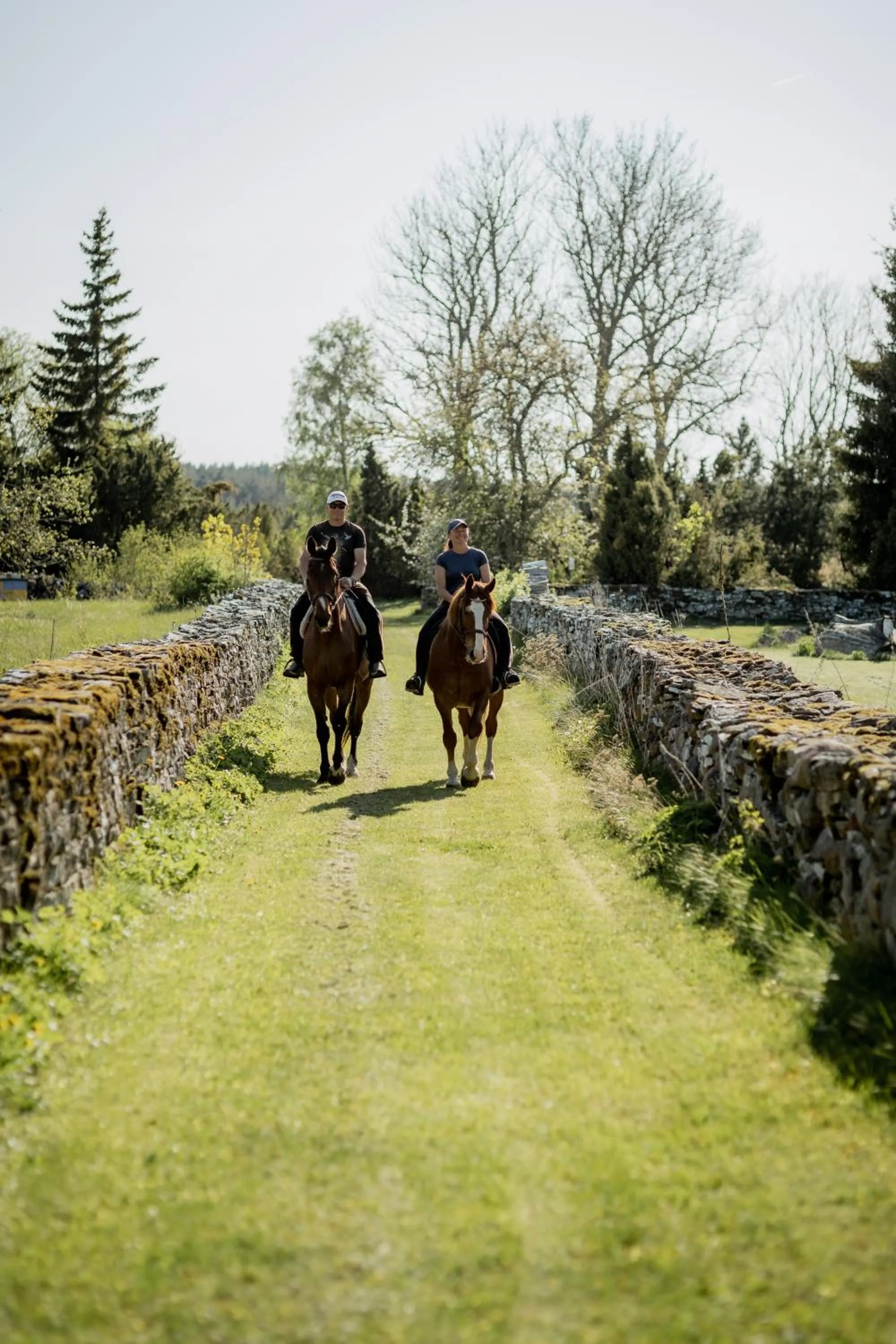 Horse-riding in Pilguse Residency