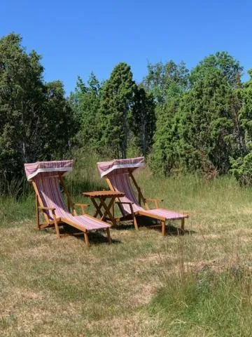 Garden in Pilguse Residency