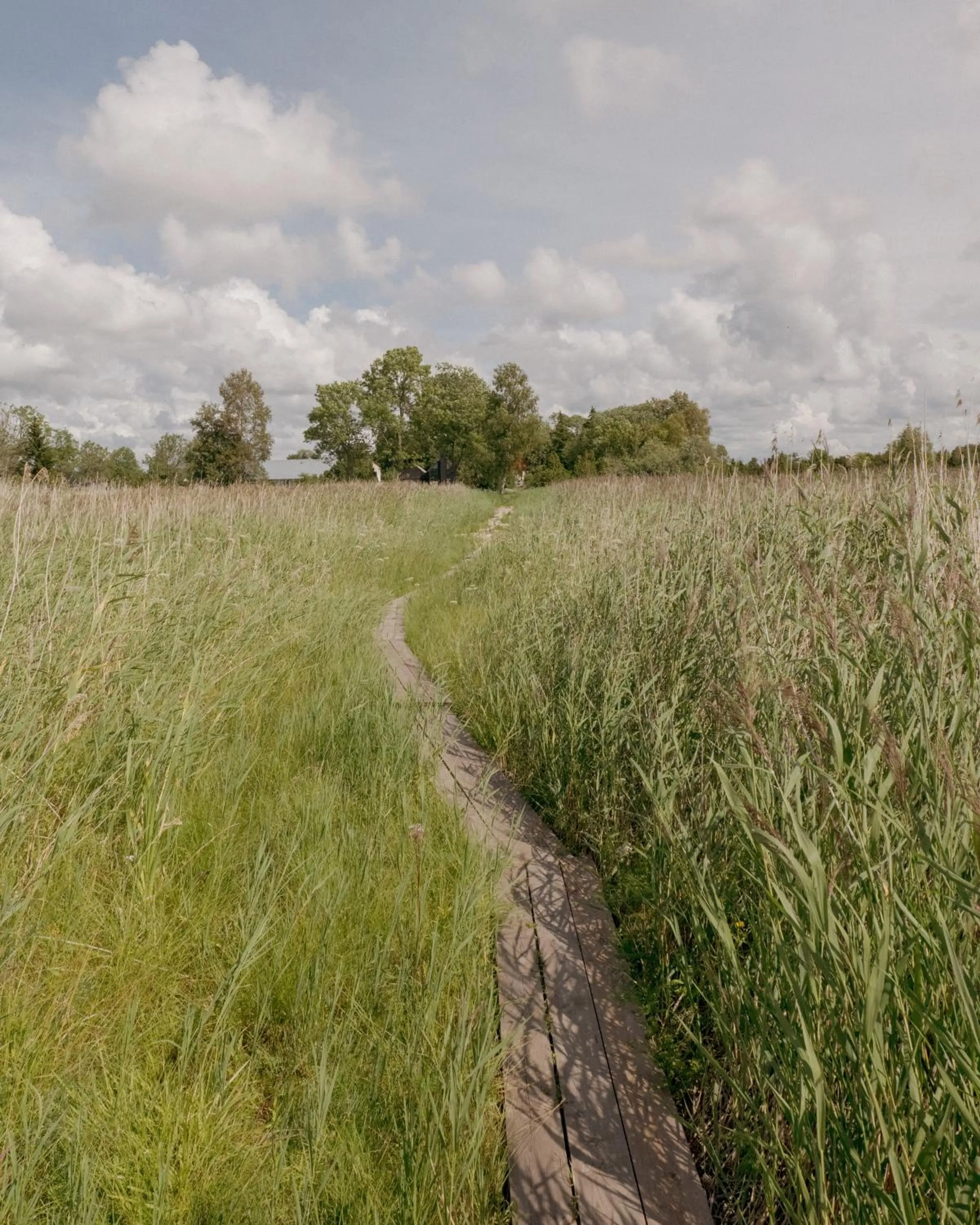 Fishing in Pilguse Residency