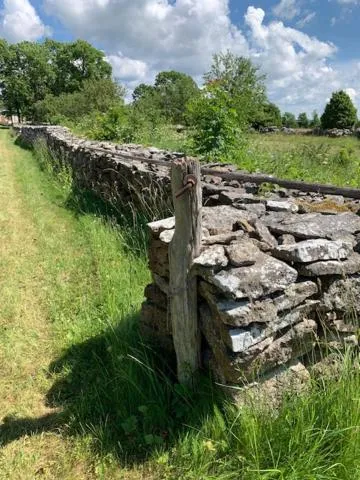 Garden in Pilguse Residency