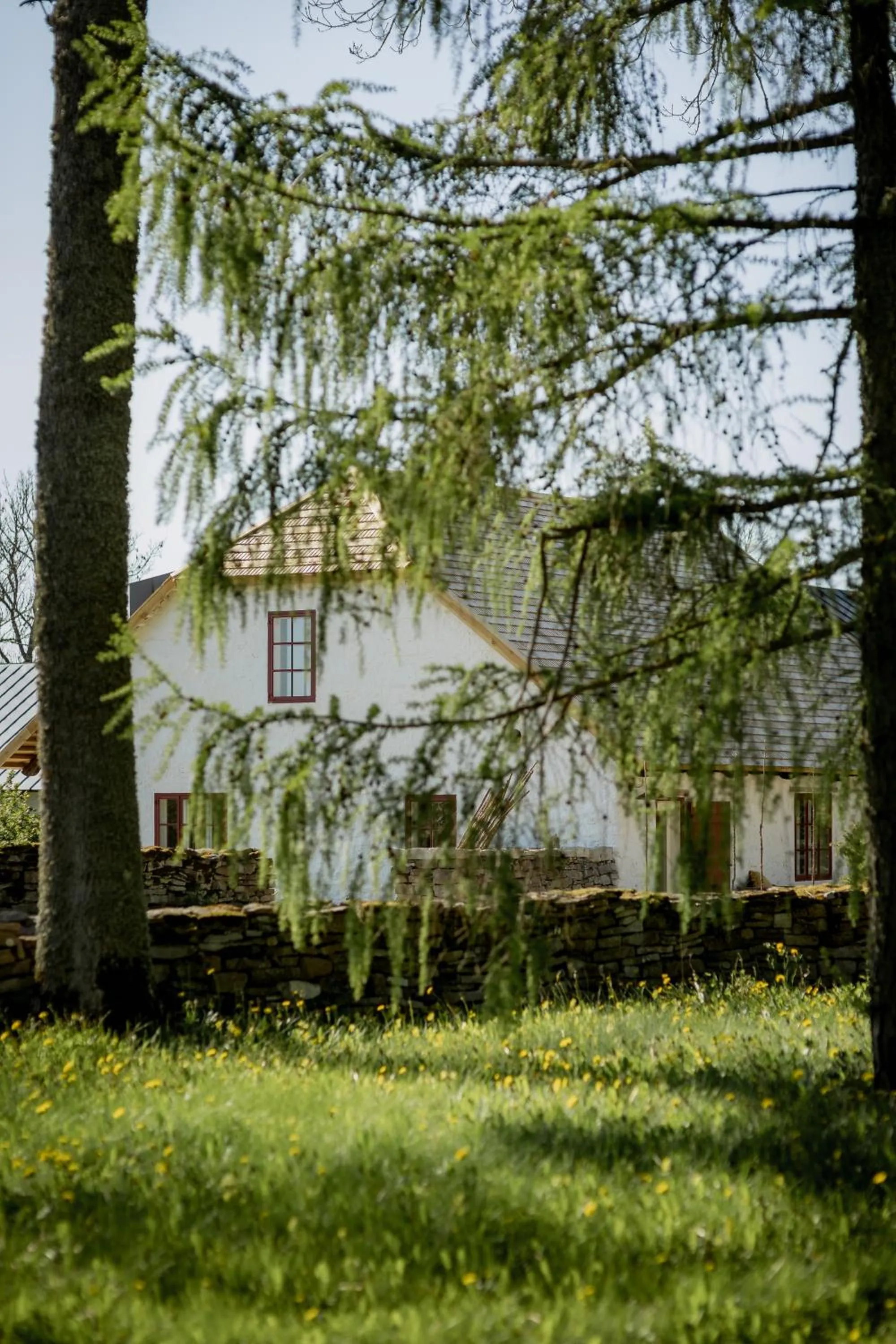 Garden in Pilguse Residency