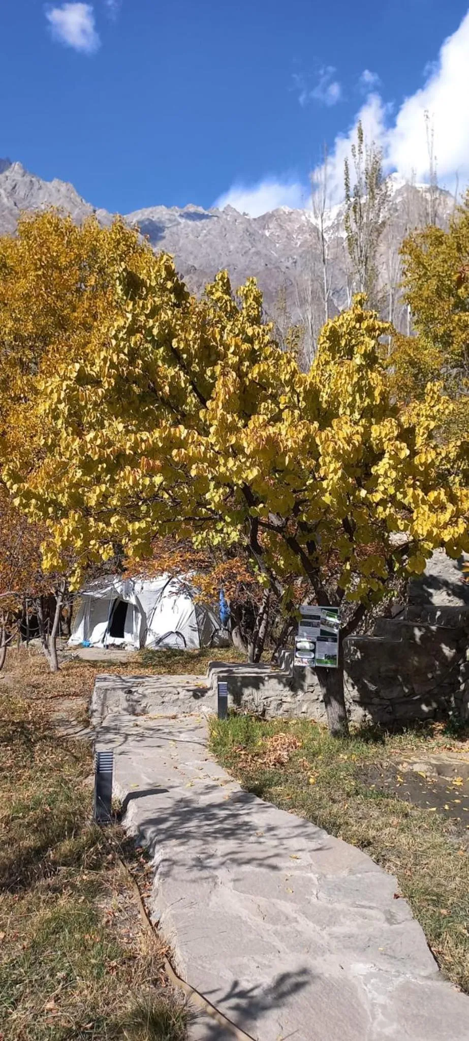 Day in Grapes Garden Resort Hunza
