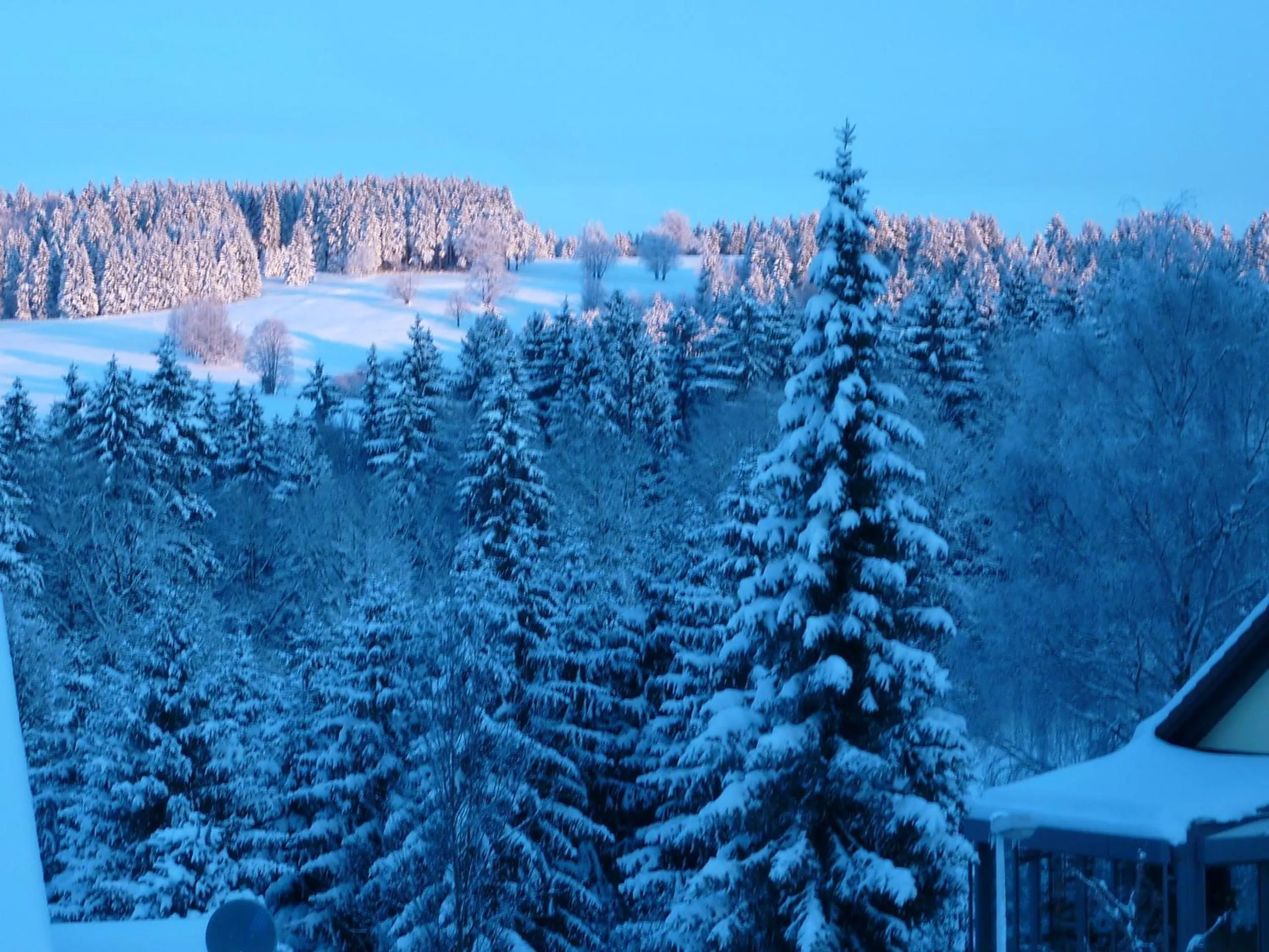 Natural landscape in Landhaus Fischer