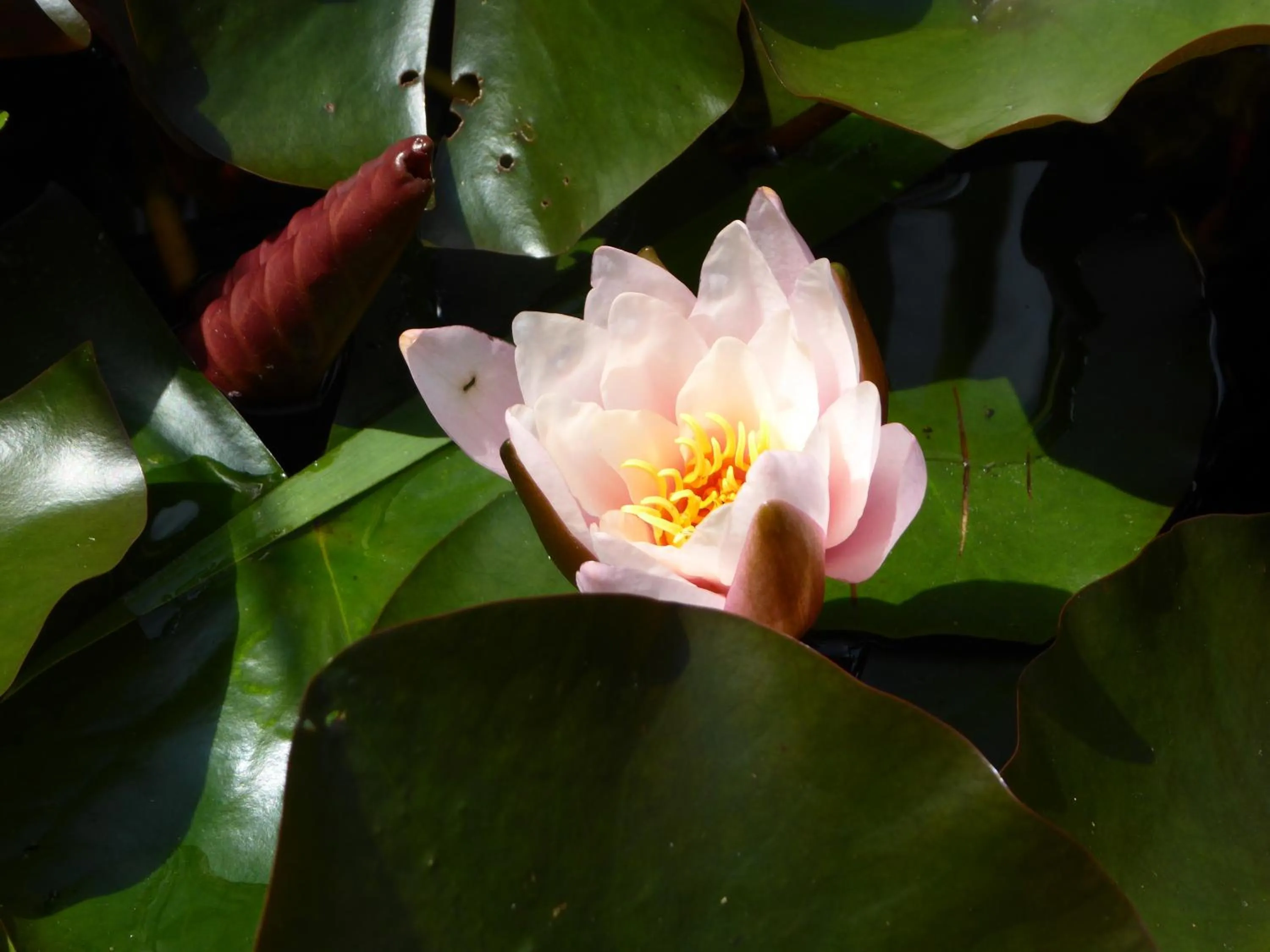 Other in Landhaus Fischer