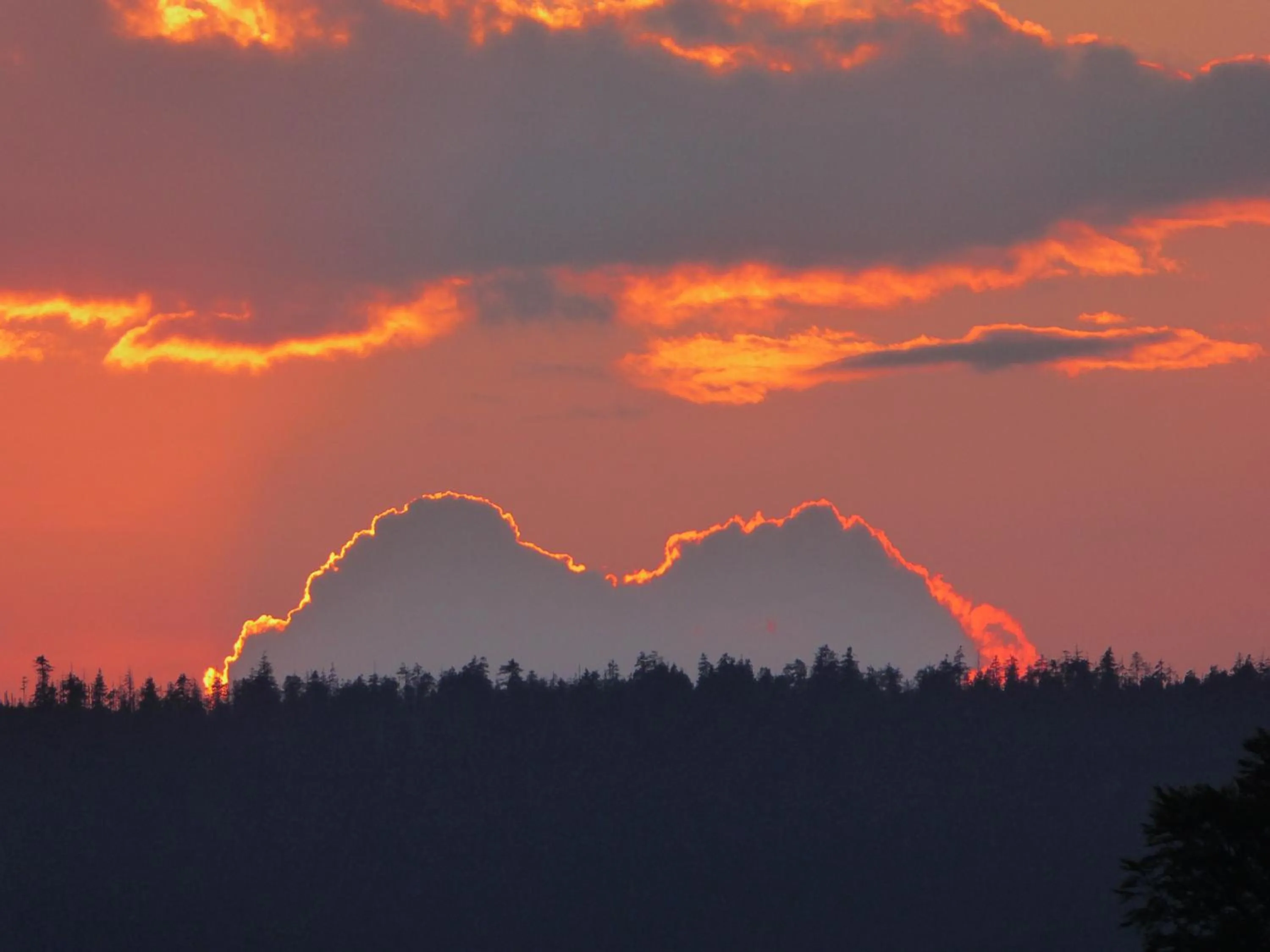 Staff in Landhaus Fischer
