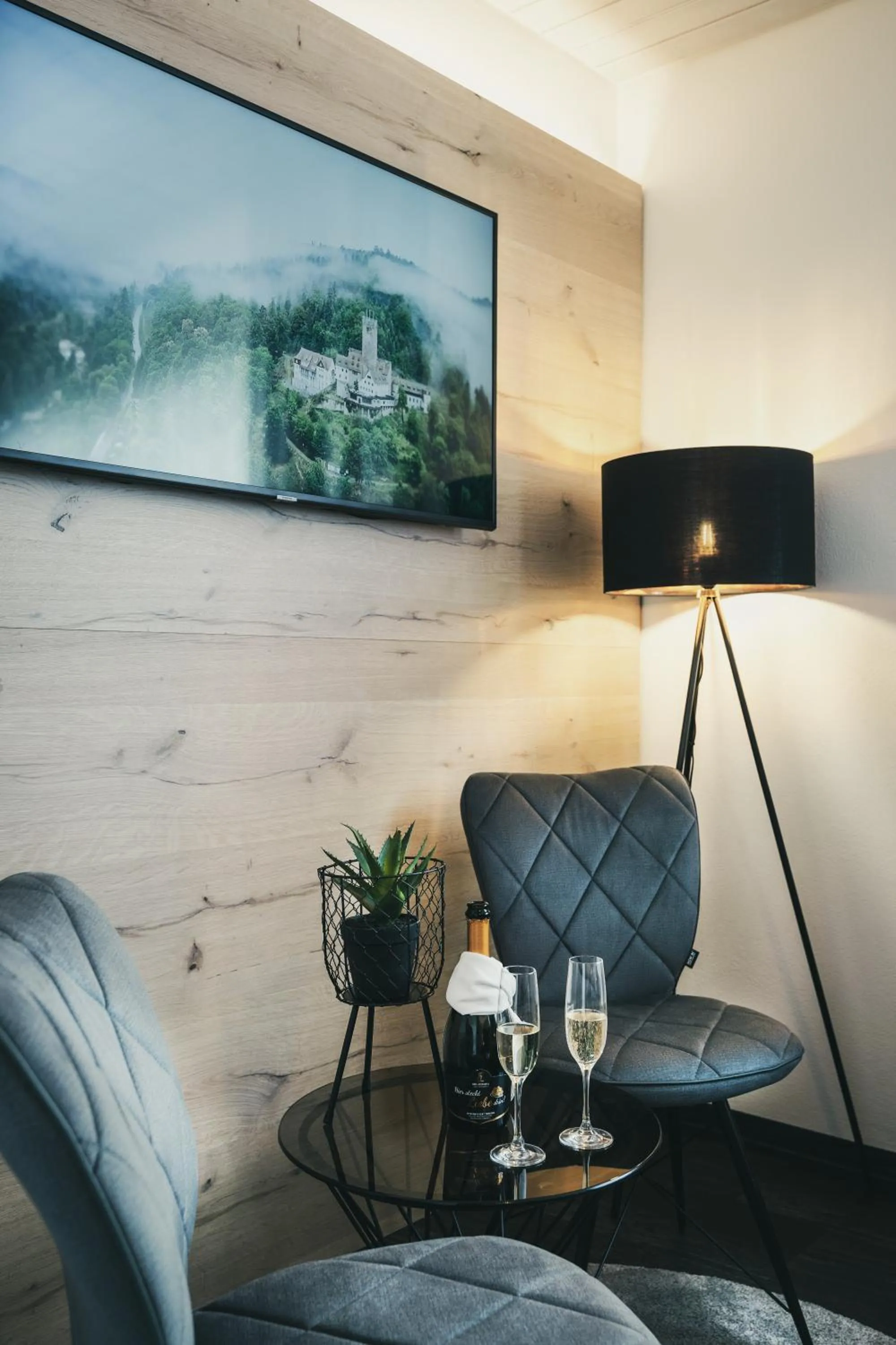 TV and multimedia in Hotel Koch