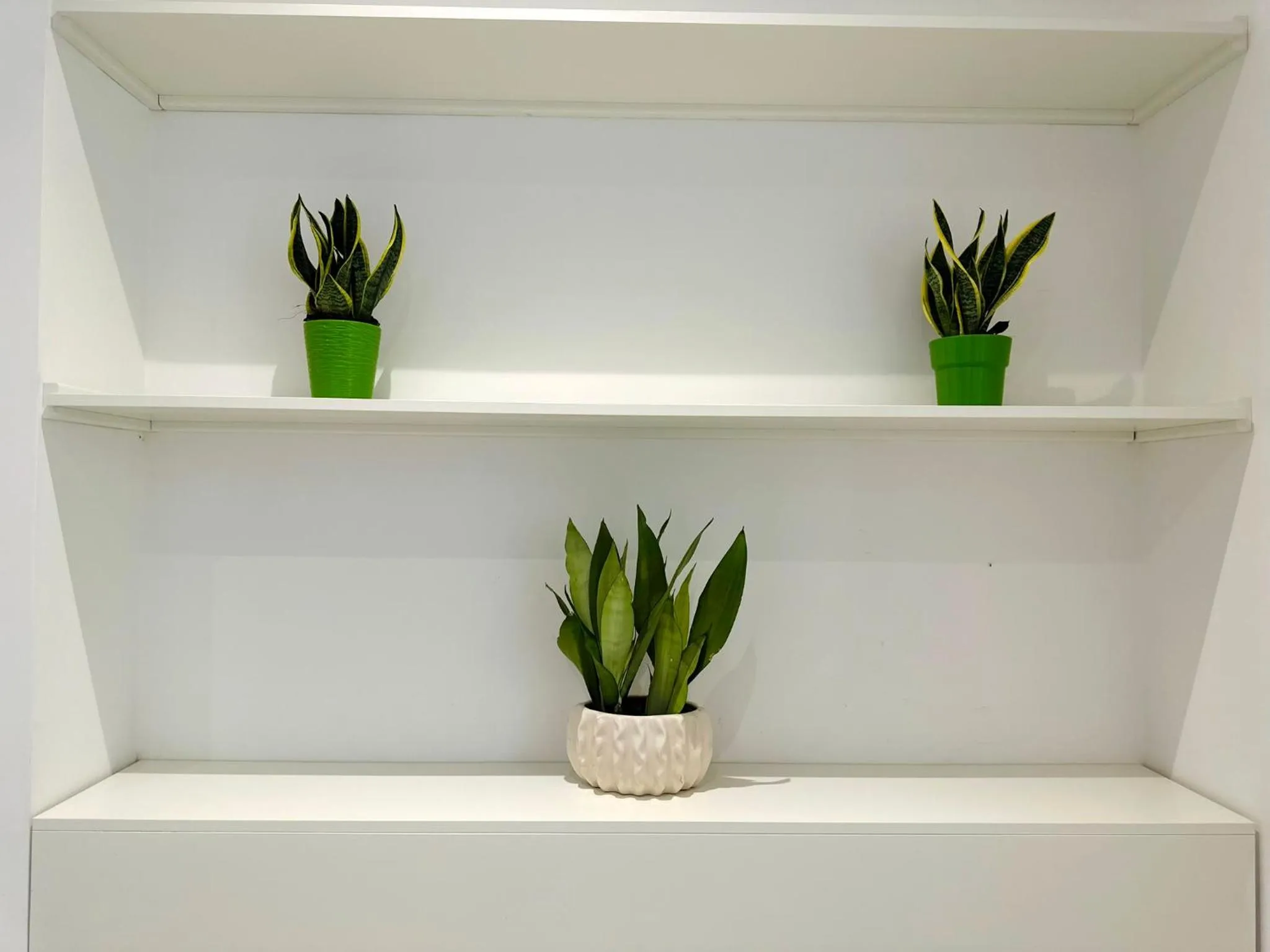 Seating area in Tenuta Miranda Agriresort
