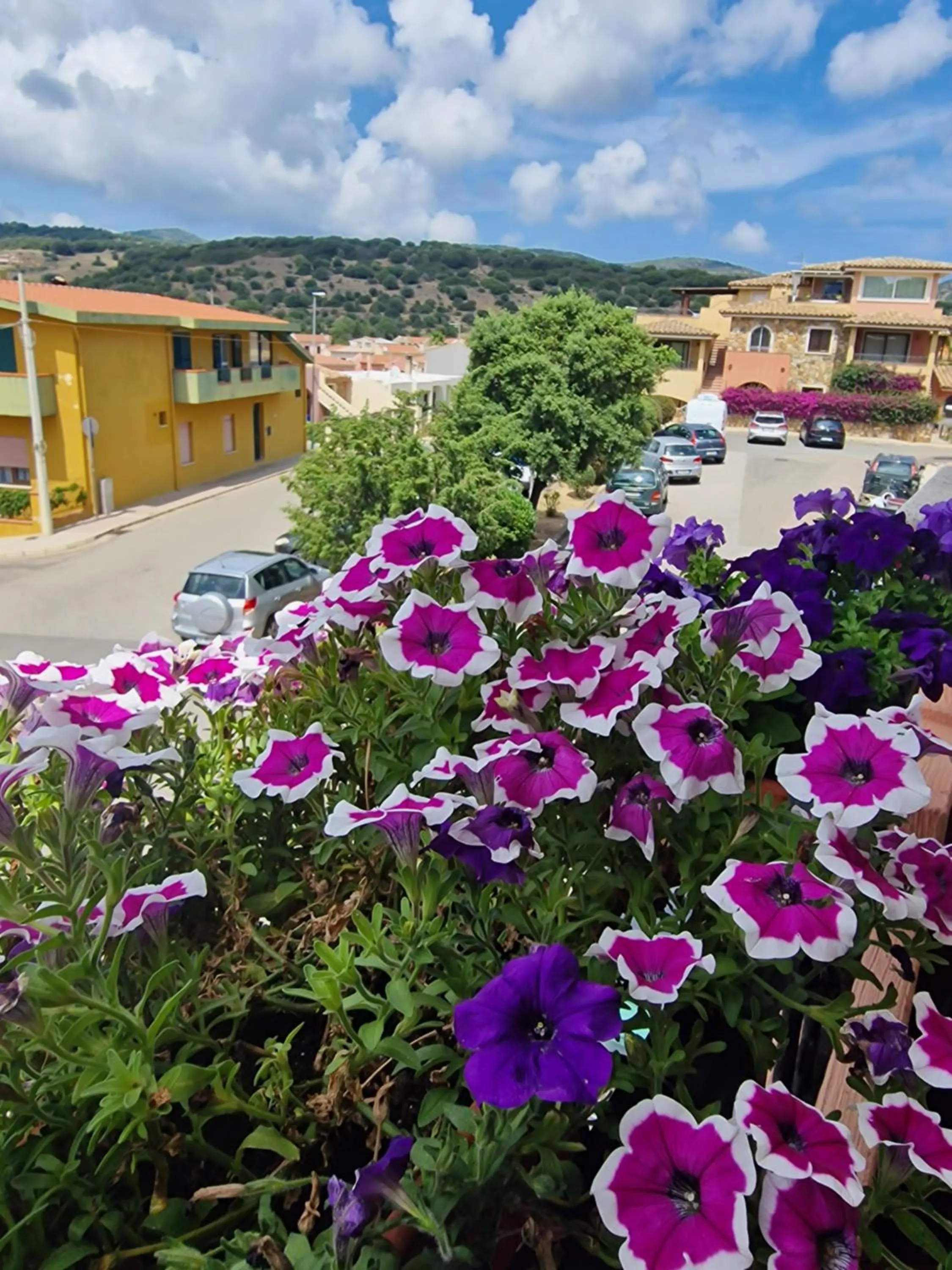 Street view in B&B Ametista