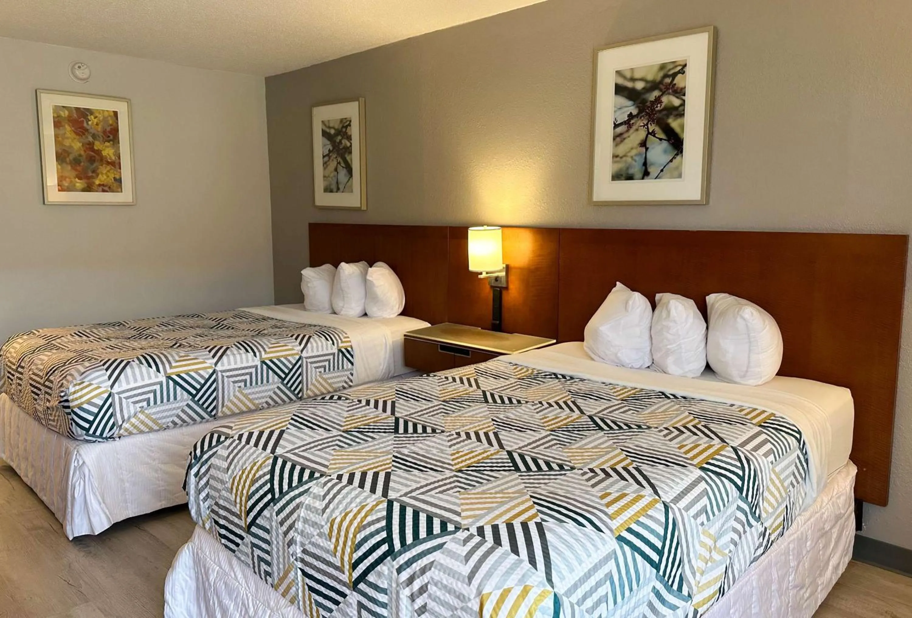 Bedroom, Bed in Motel 6 Forrest City AR