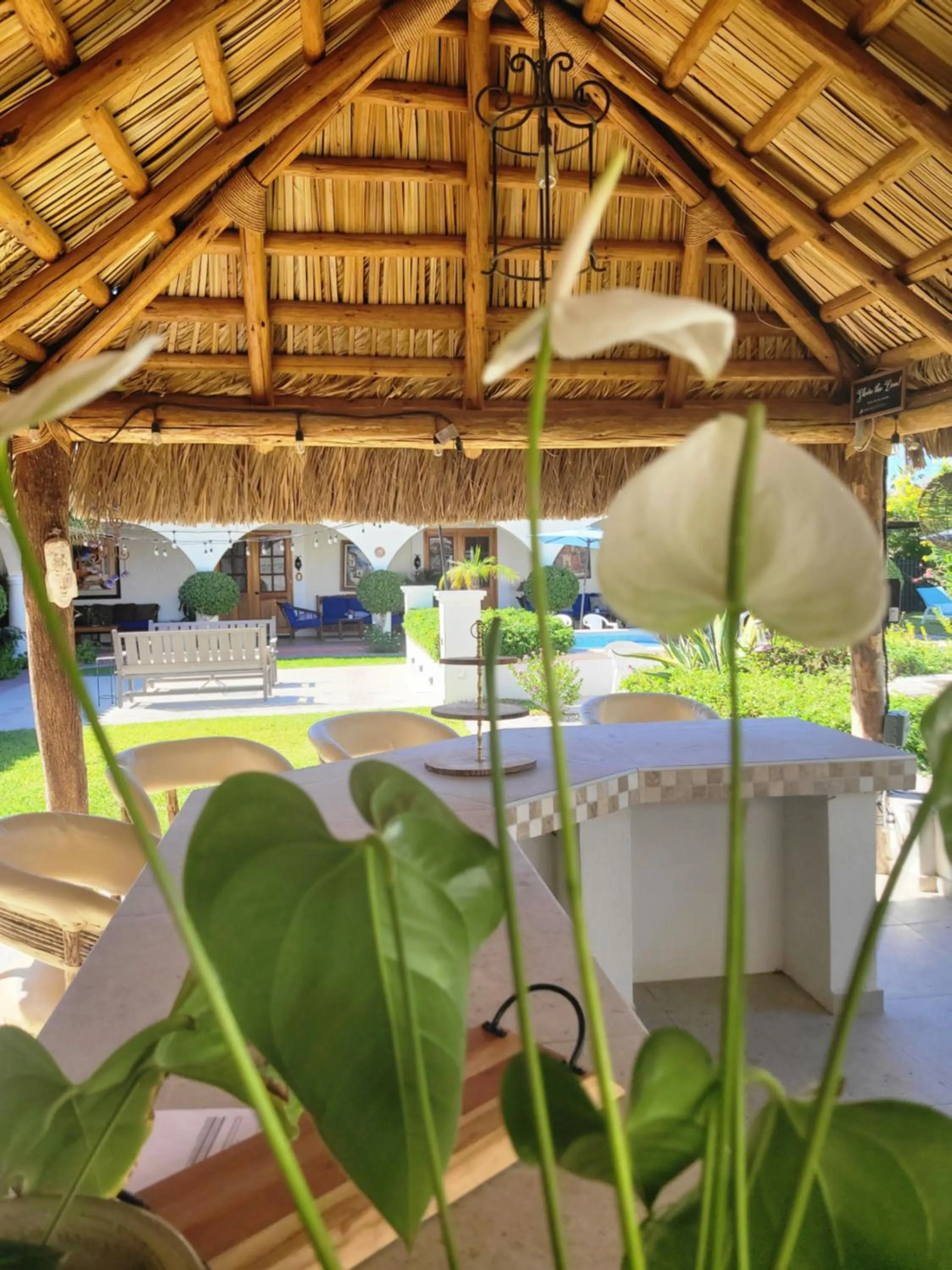 Patio in Casa Magdalena