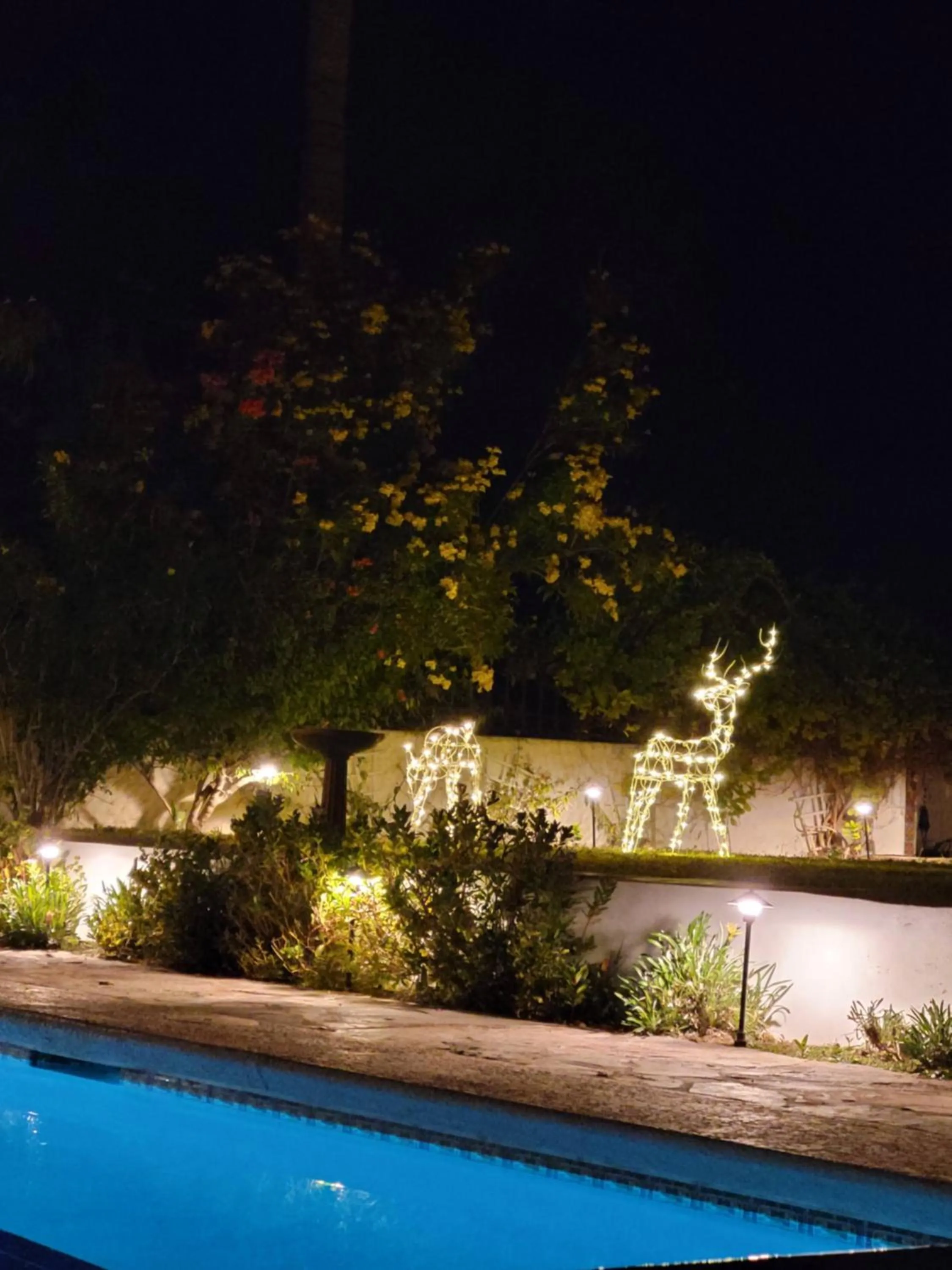 Night in Casa Magdalena