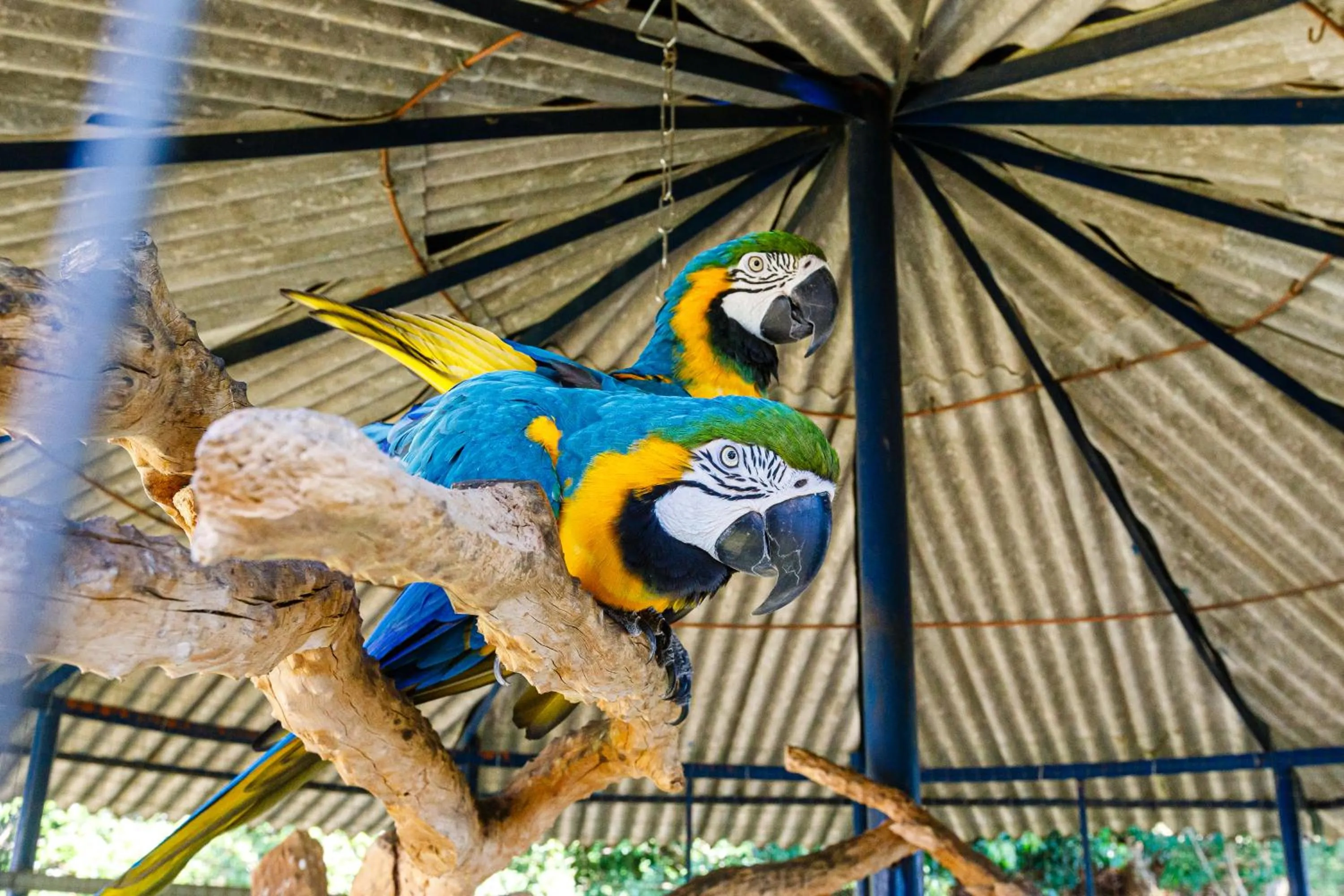 Natural landscape in Hotel Morro De Santo Agostinho