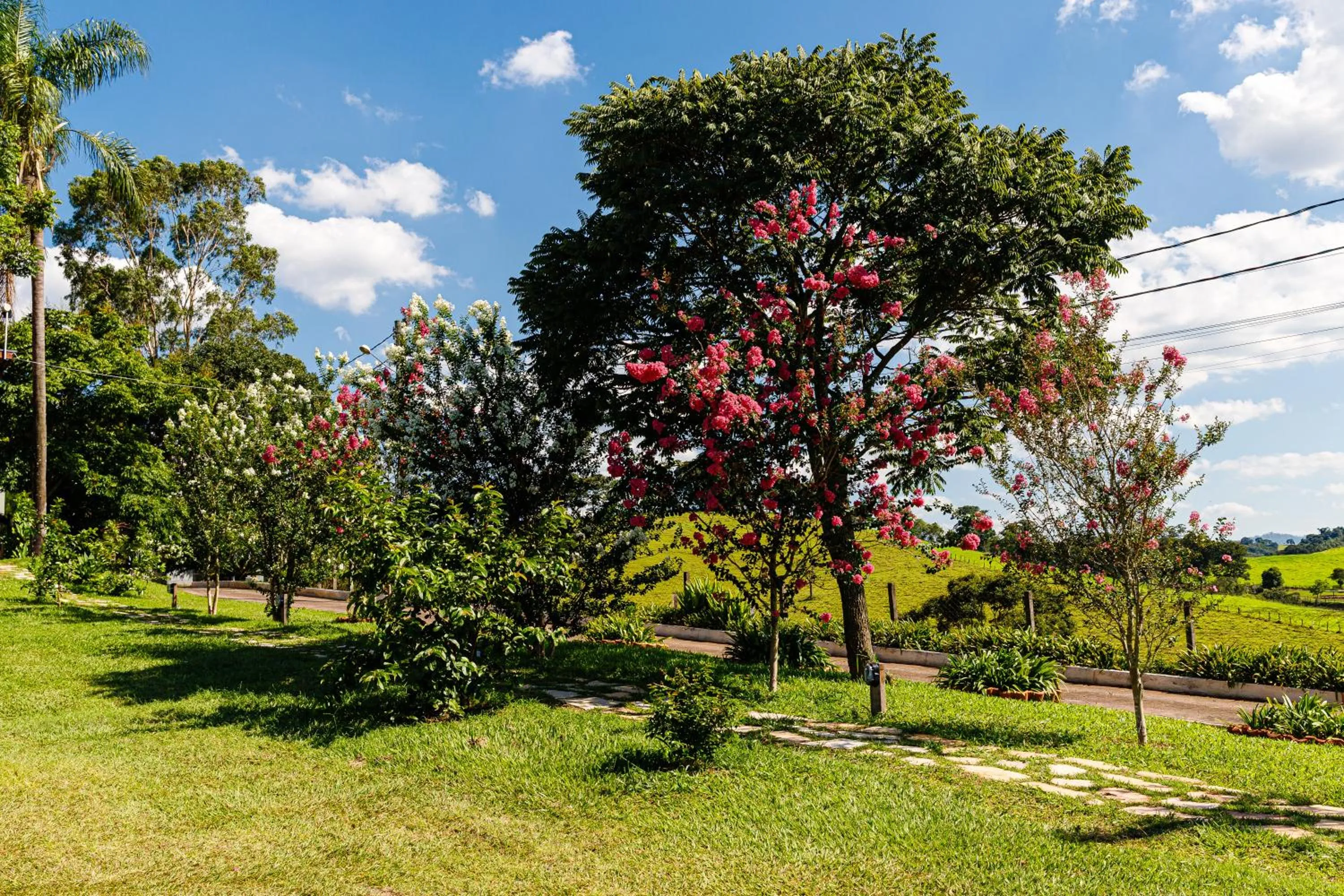 Spring in Hotel Morro De Santo Agostinho