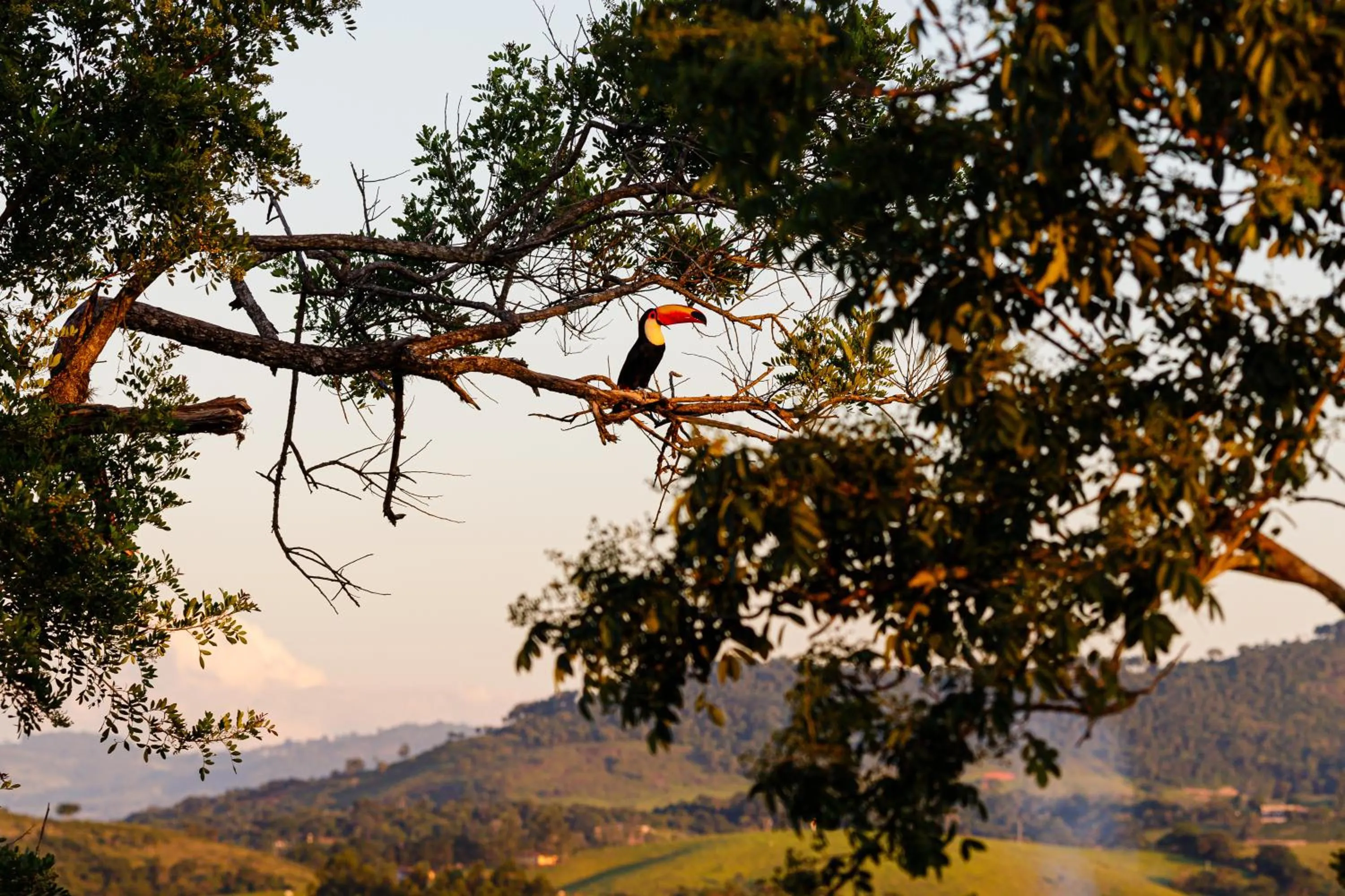 Day in Hotel Morro De Santo Agostinho