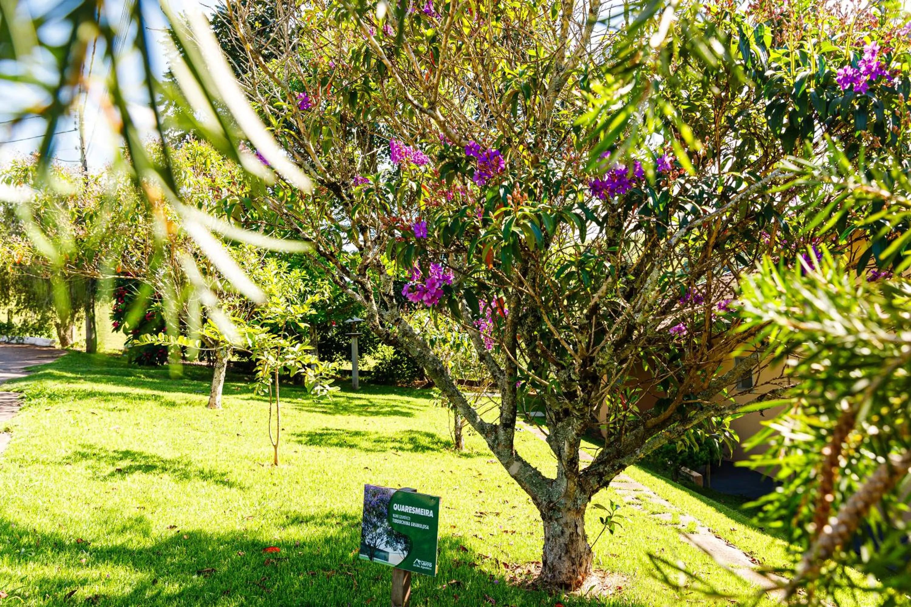 Spring in Hotel Morro De Santo Agostinho