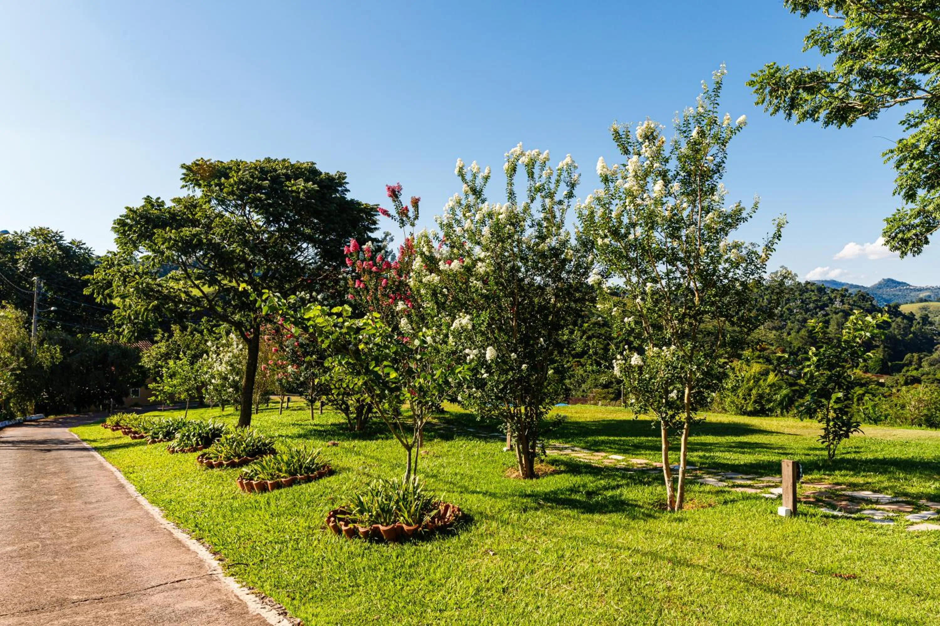 Spring in Hotel Morro De Santo Agostinho