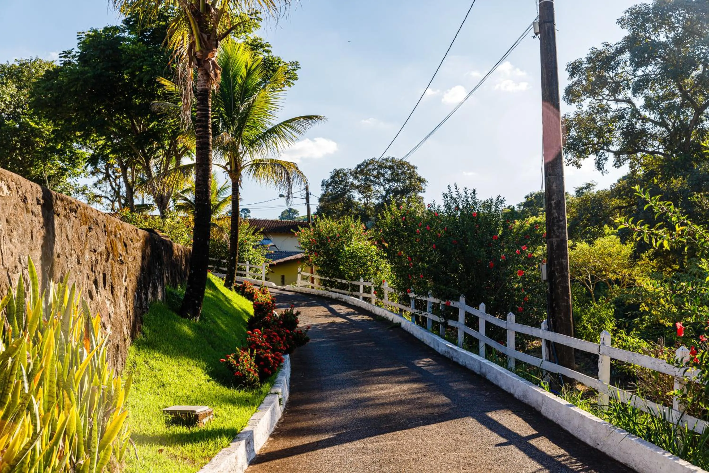 Natural landscape in Hotel Morro De Santo Agostinho