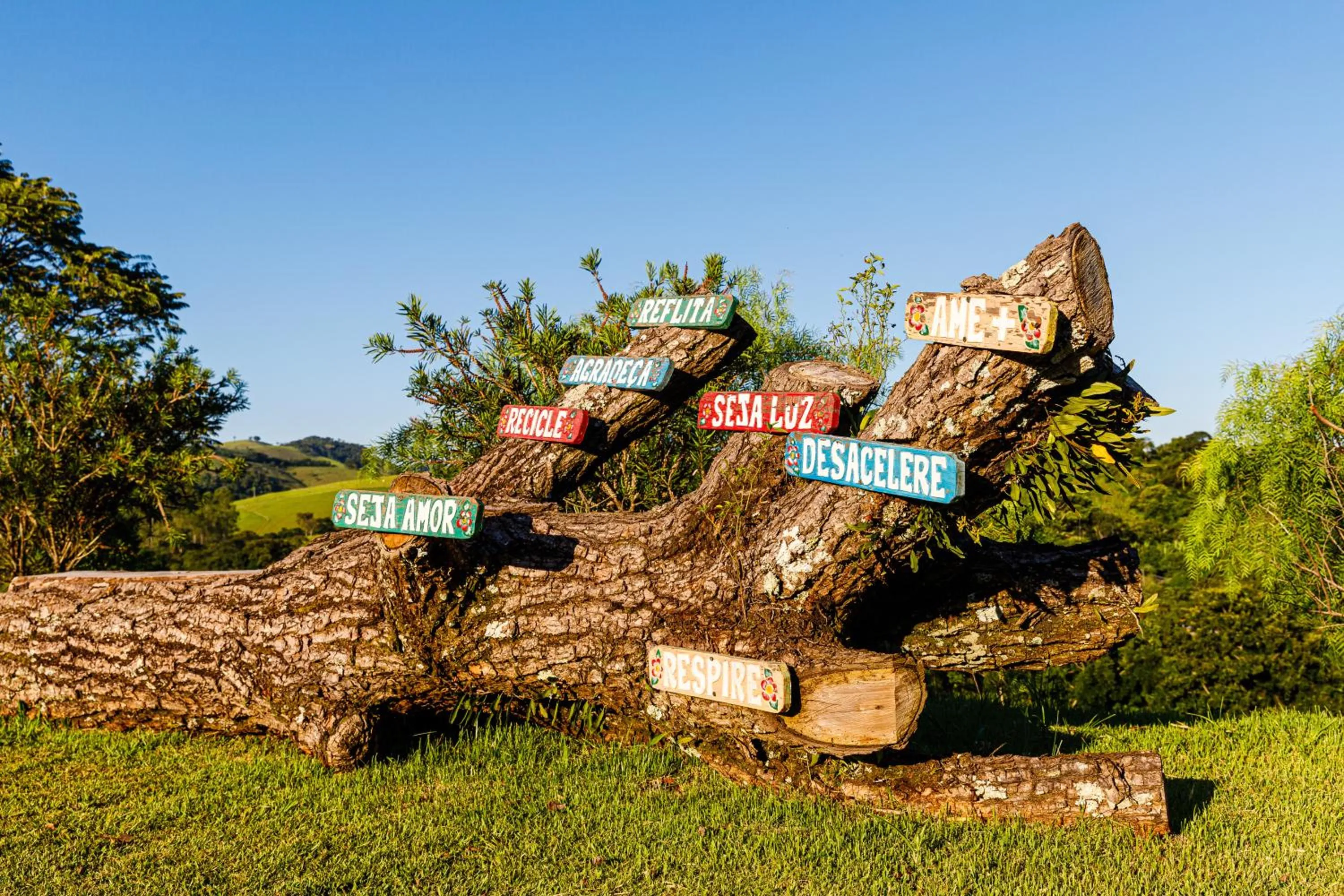 Natural landscape in Hotel Morro De Santo Agostinho