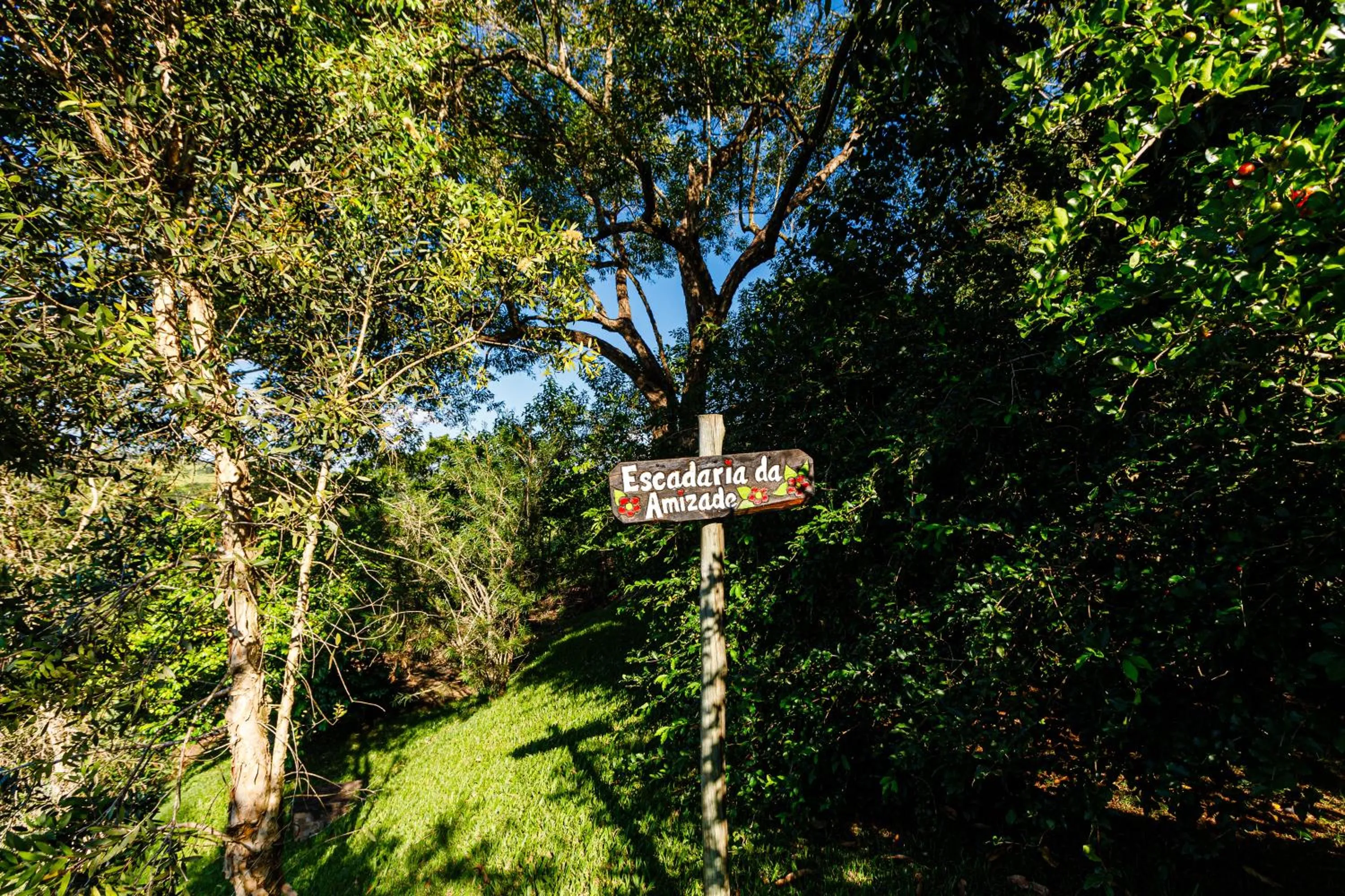 Spring in Hotel Morro De Santo Agostinho