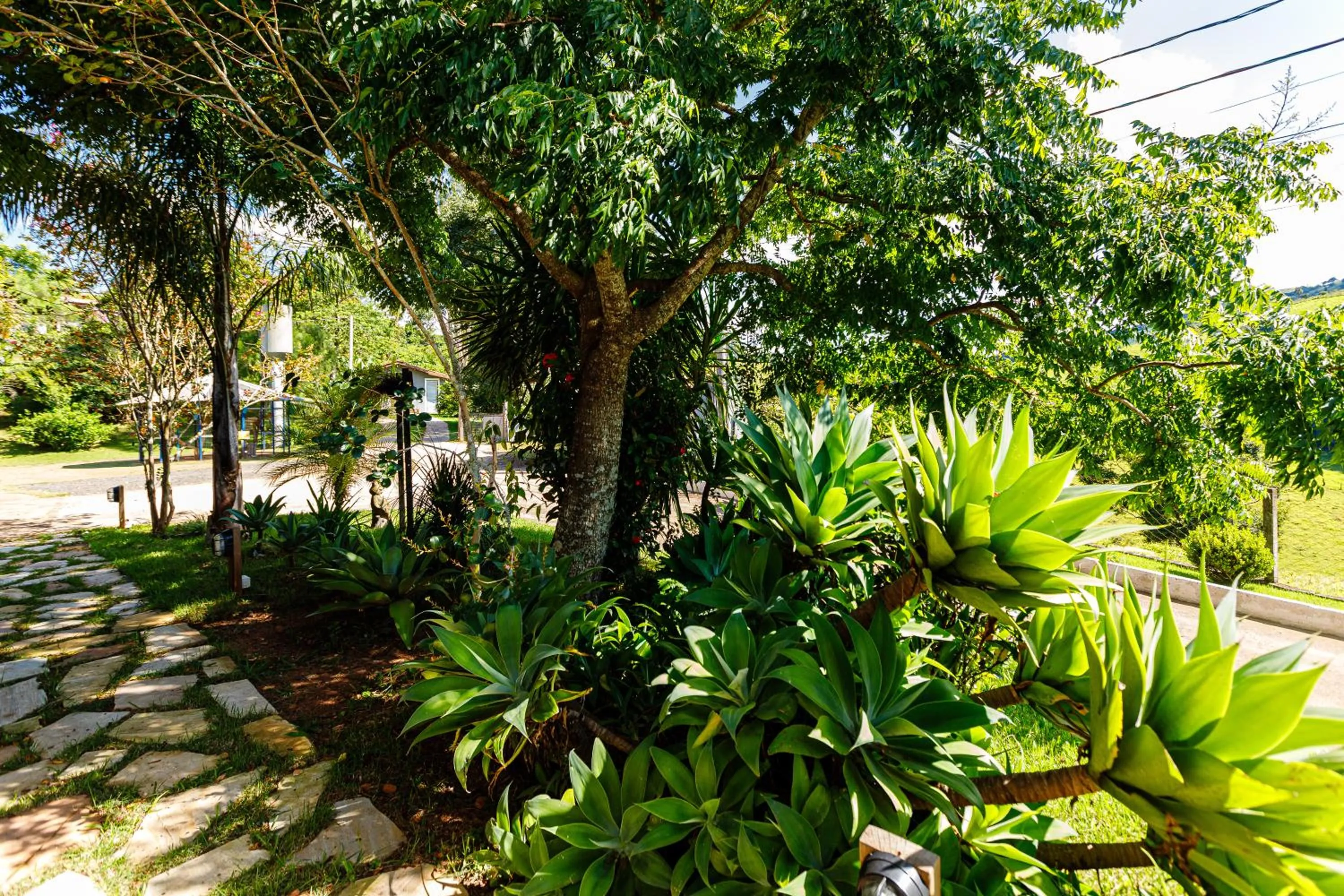 Spring in Hotel Morro De Santo Agostinho