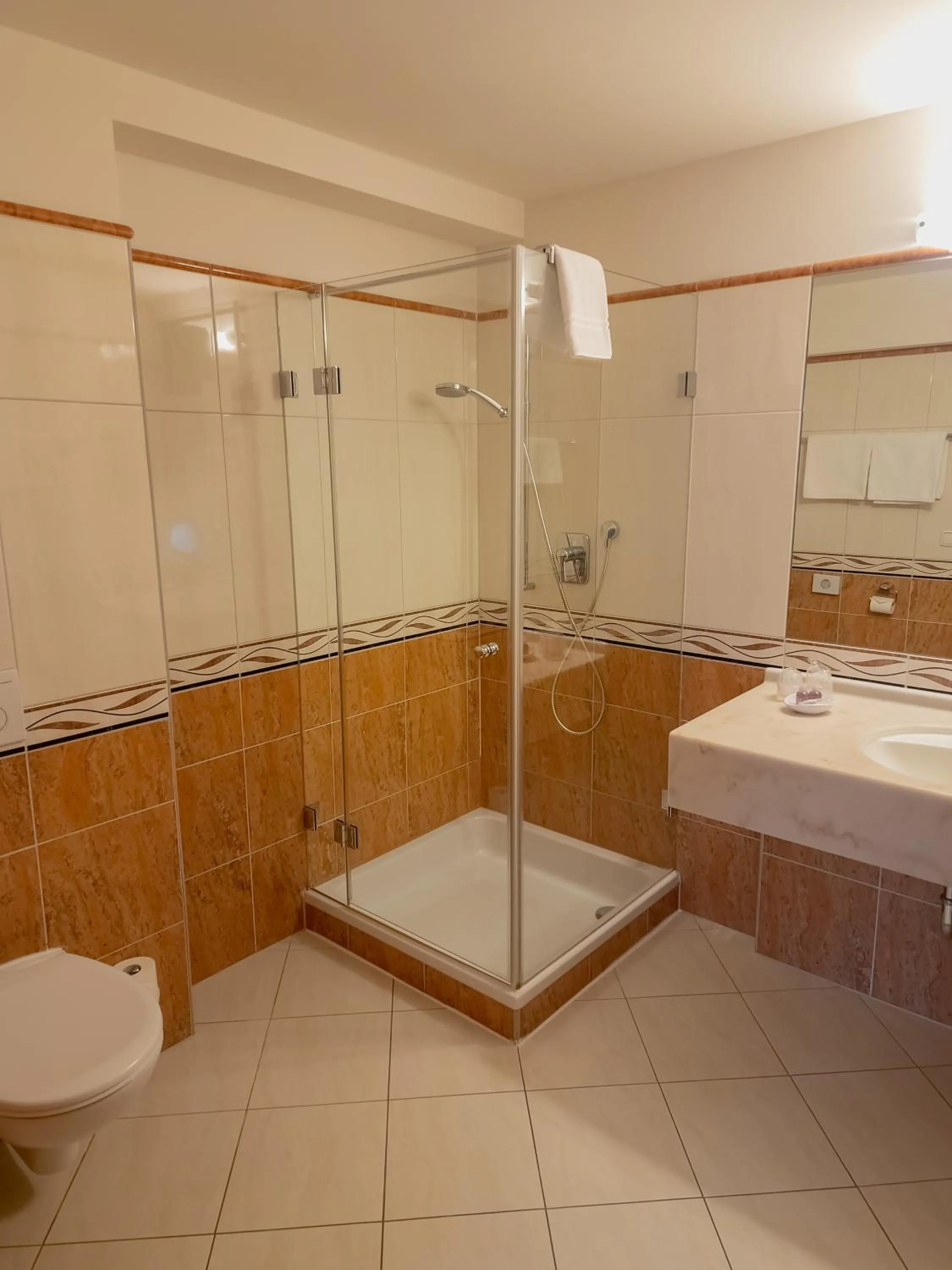 Shower in Das Alpin - Hotel Garni Guesthouse